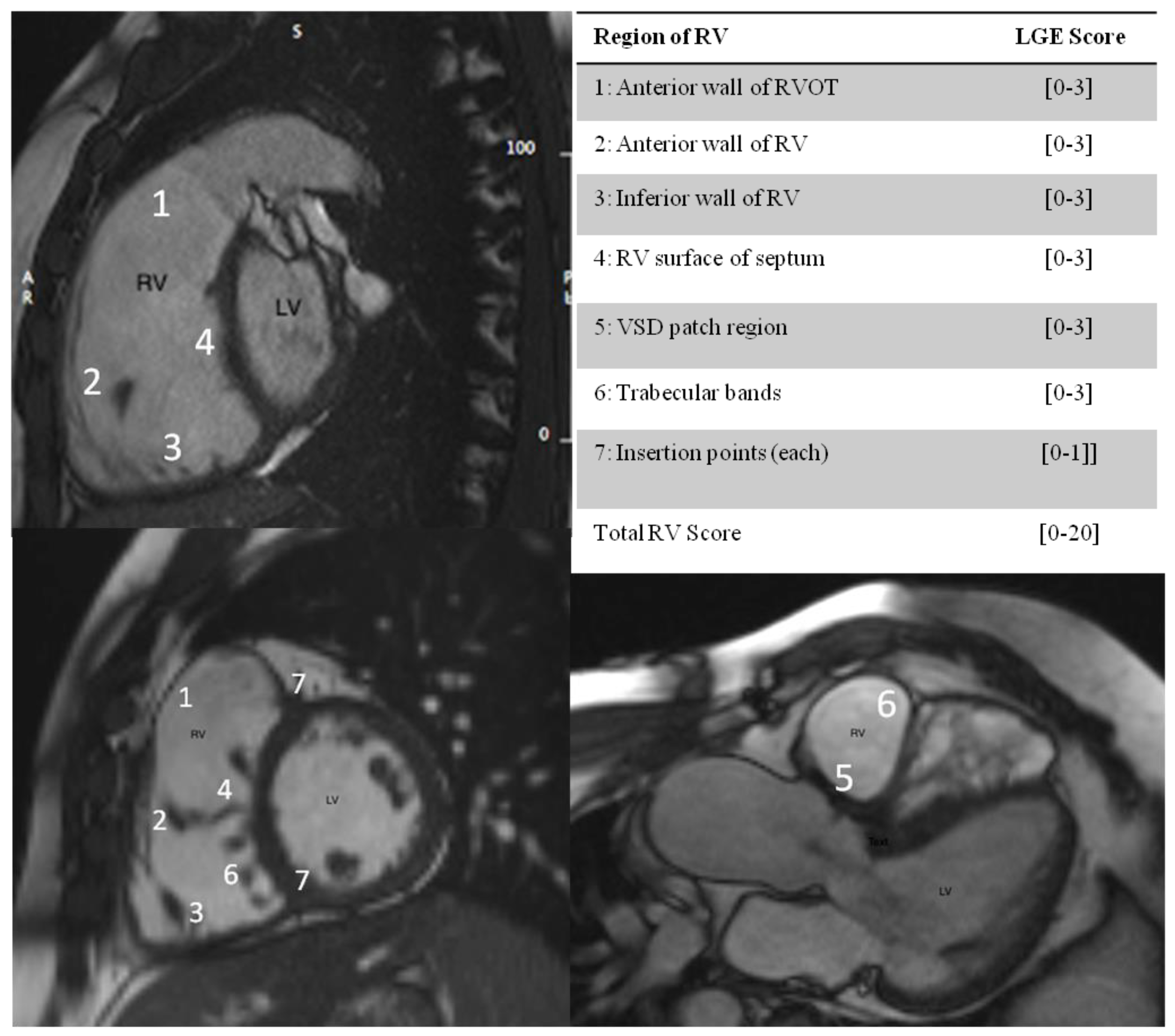 Diagnostics 11 02101 g001