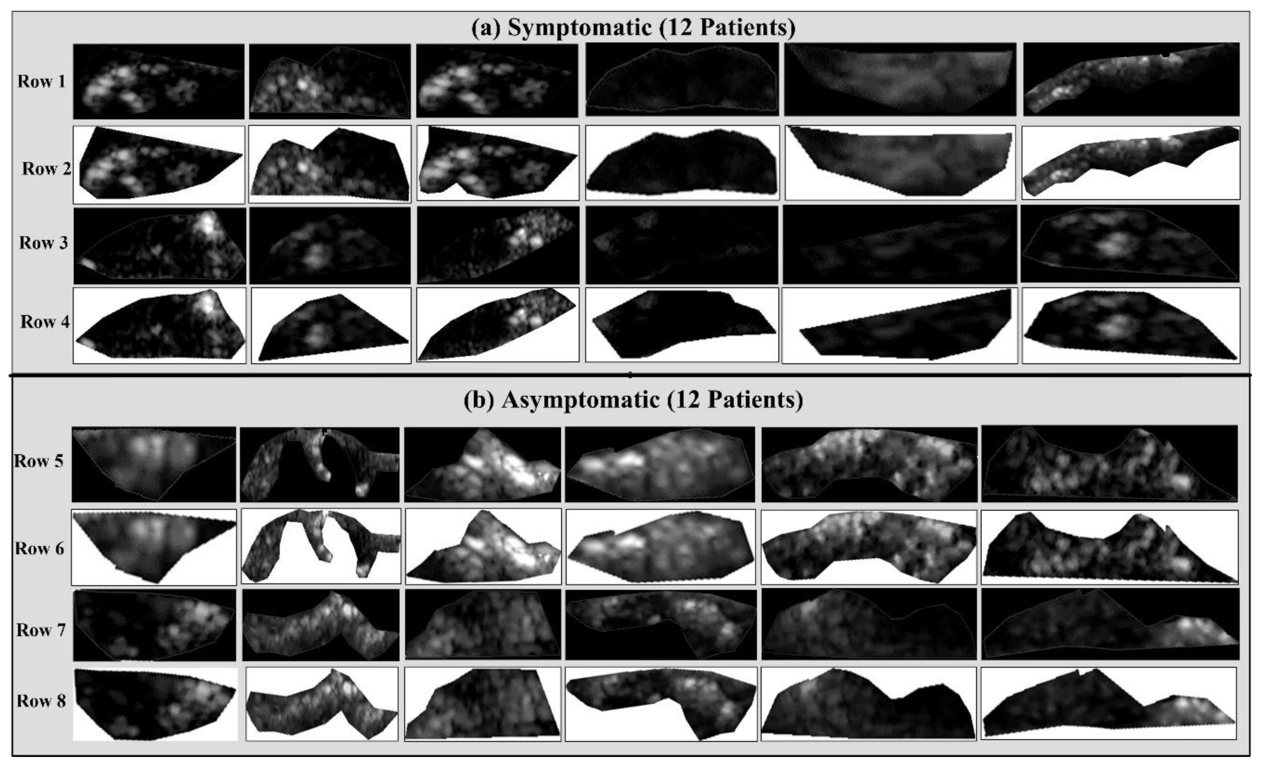 Diagnostics 11 02109 g002