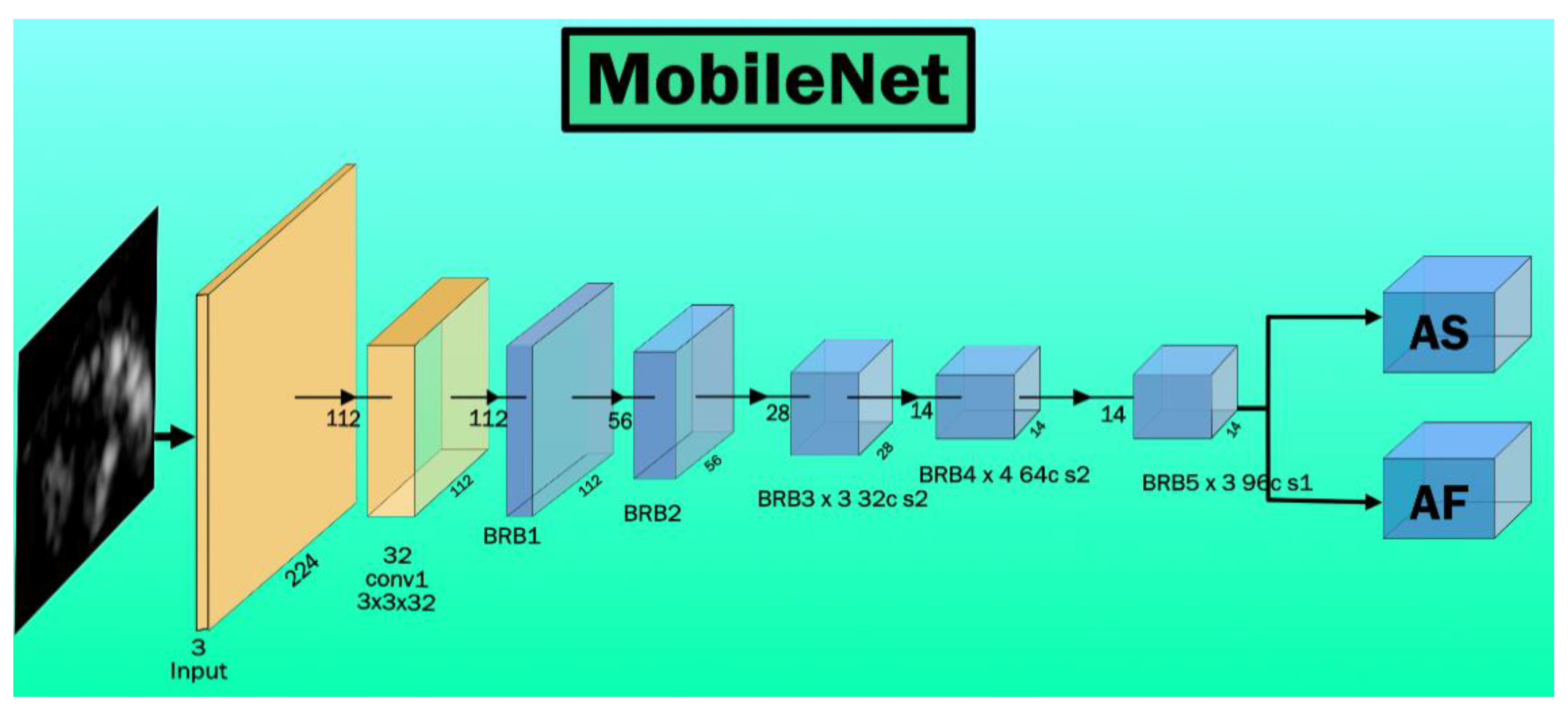 Diagnostics 11 02109 g008