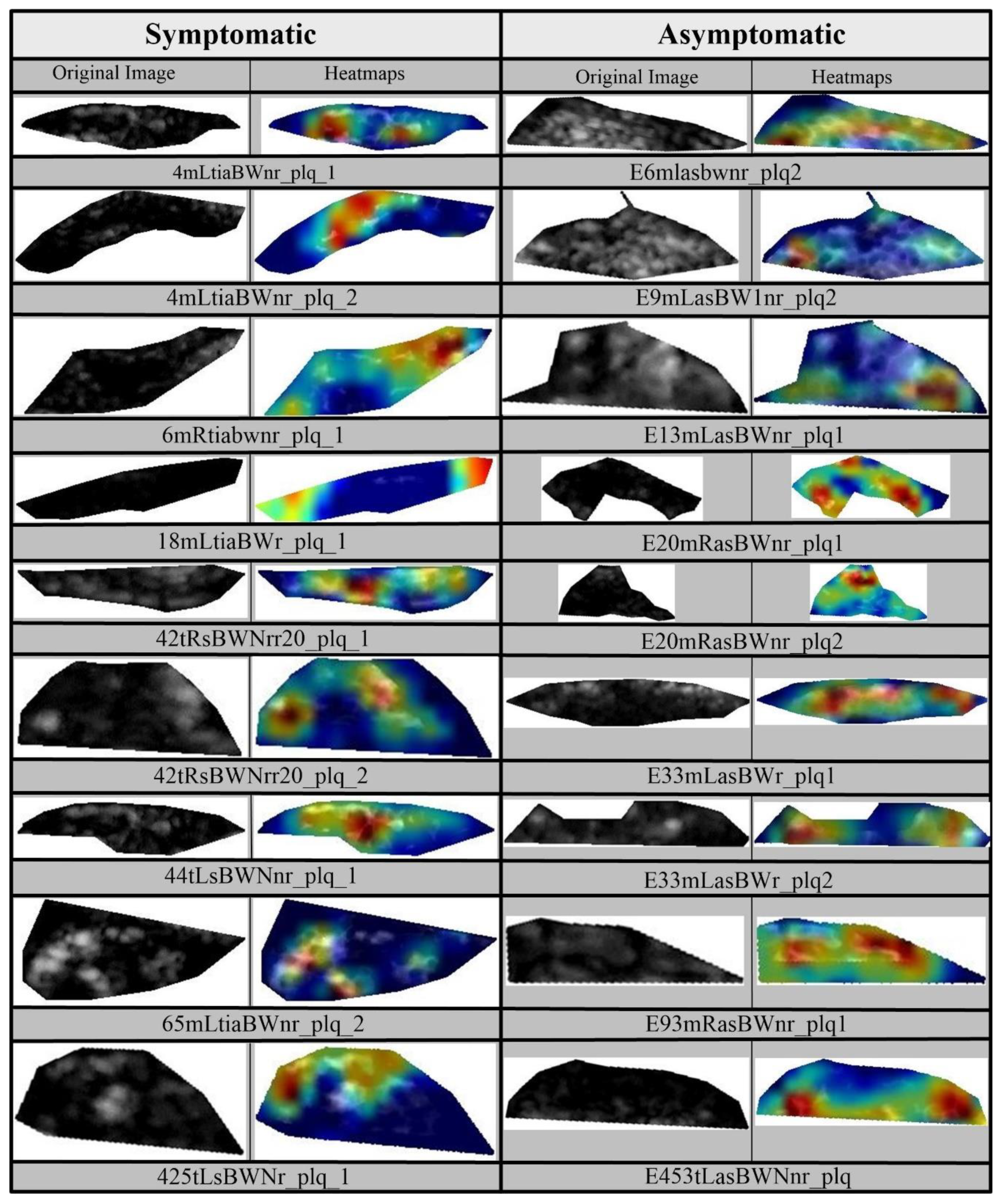 Diagnostics 11 02109 g016