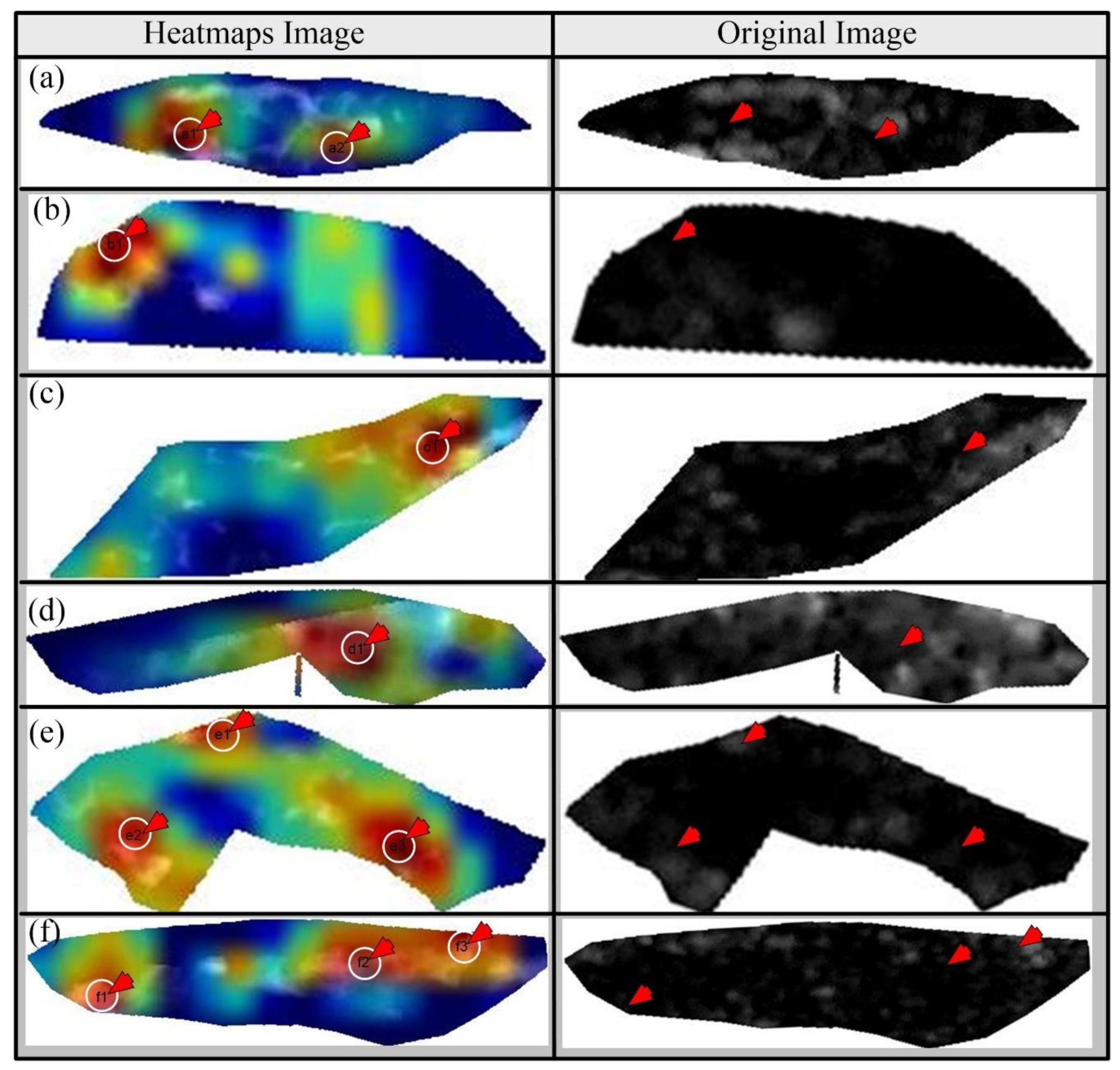 Diagnostics 11 02109 g017