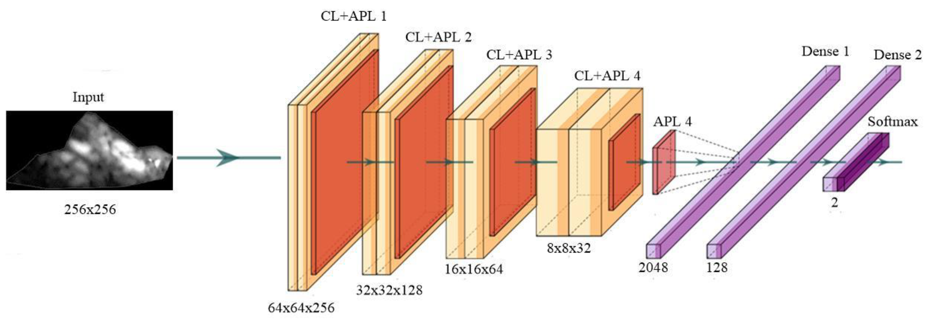 Diagnostics 11 02109 g0a1