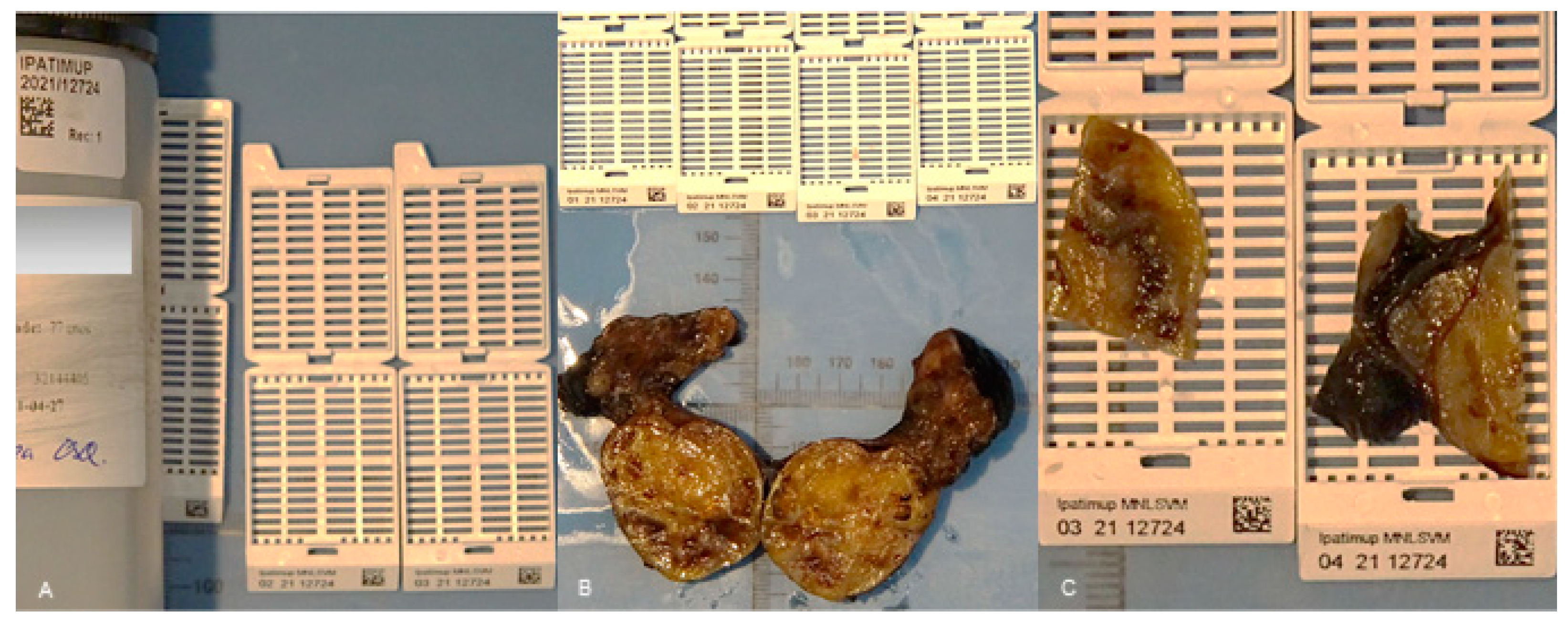 Diagnostics 11 02111 g003