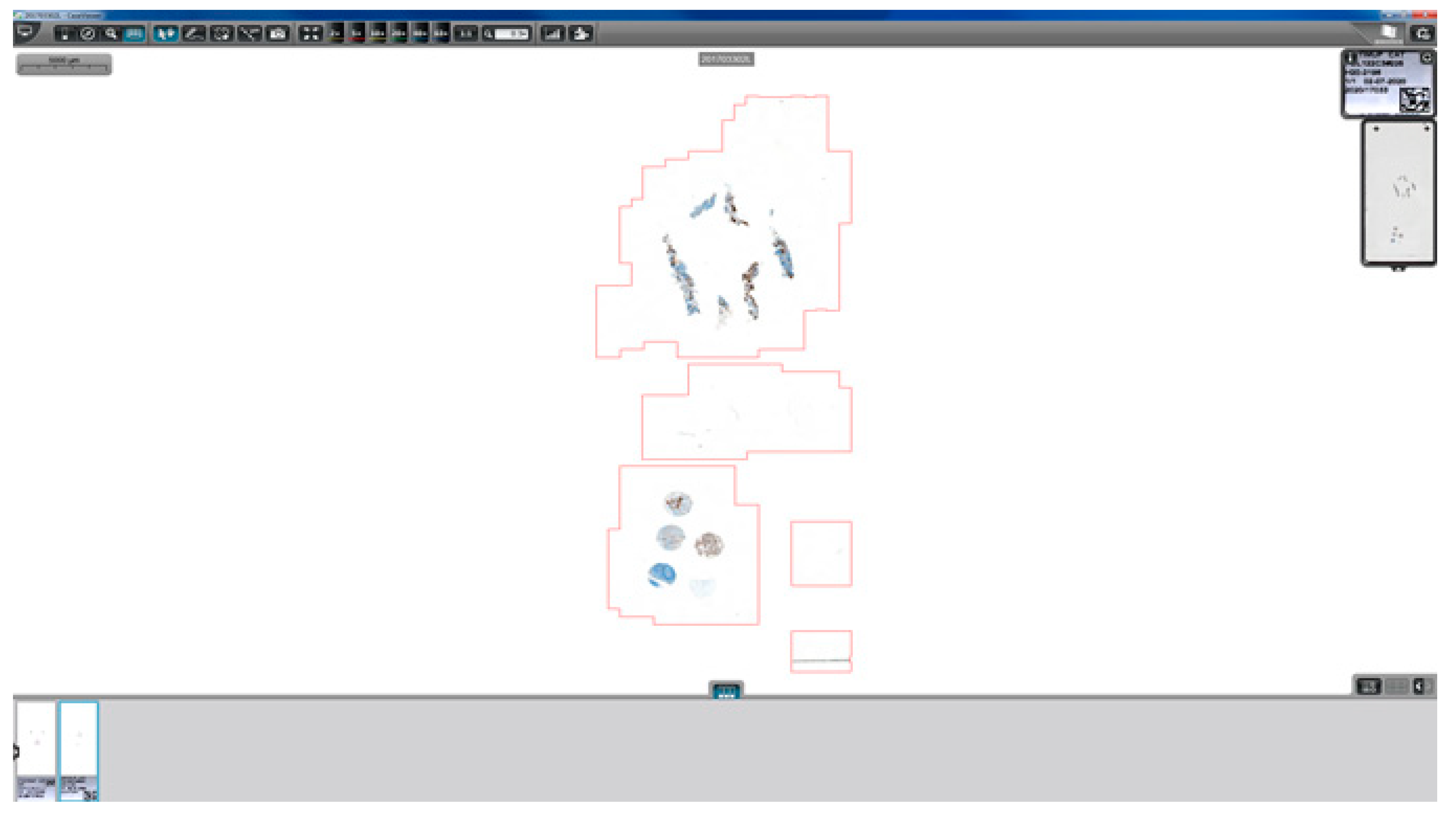 Diagnostics 11 02111 g004