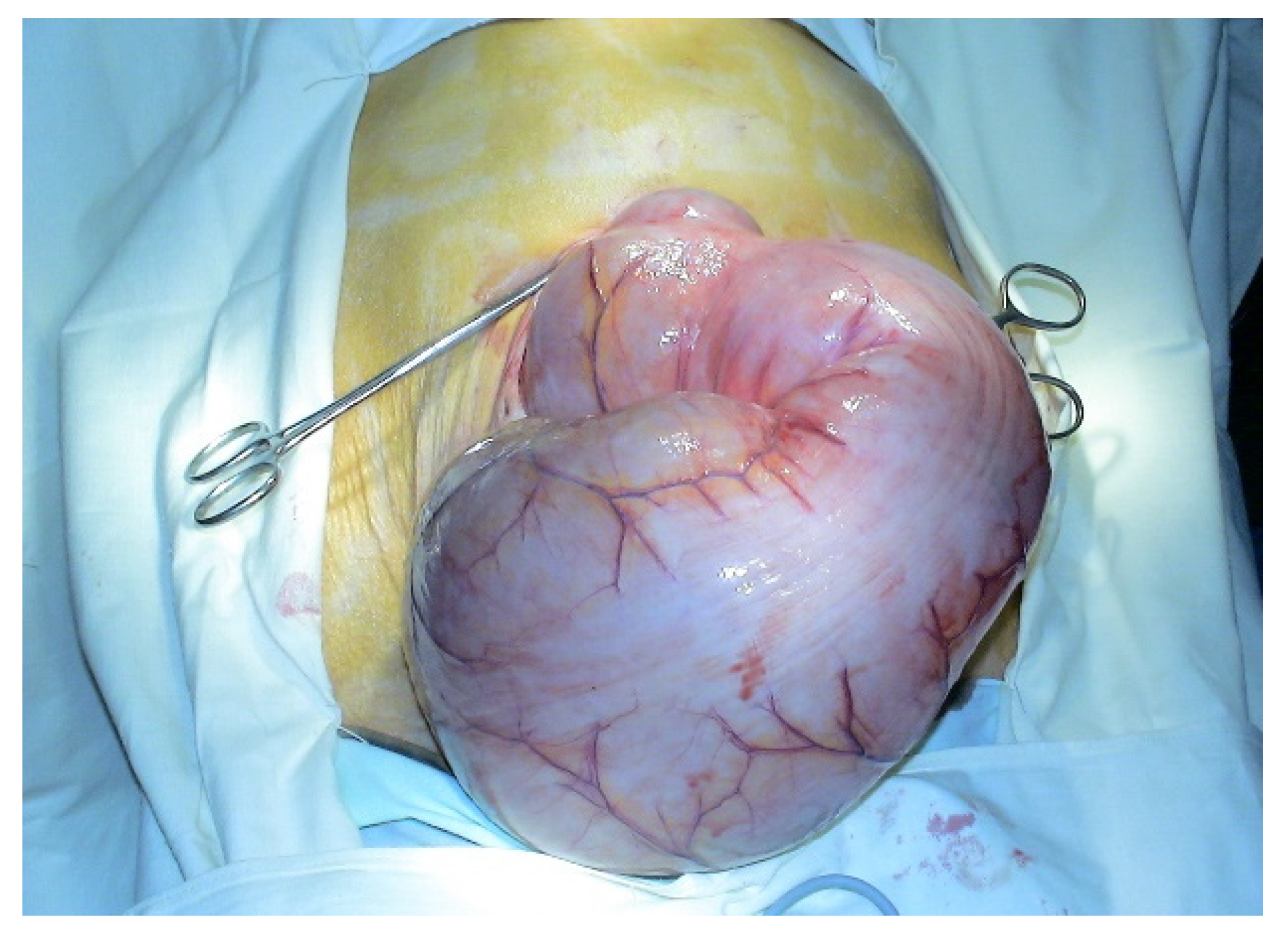 Diagnostics 11 02112 g008