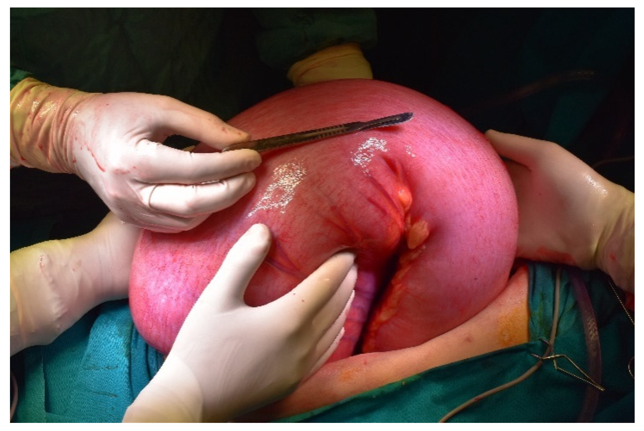 Diagnostics 11 02112 g009