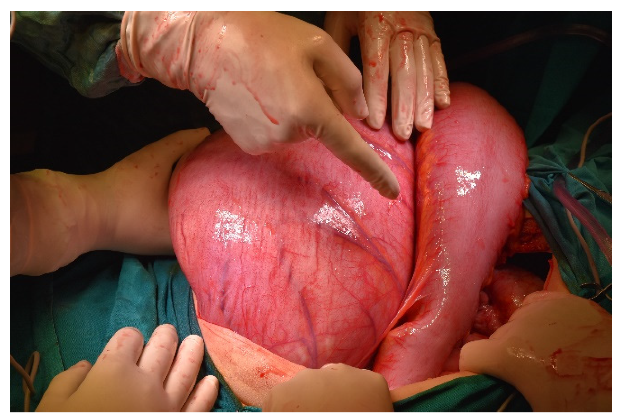 Diagnostics 11 02112 g010