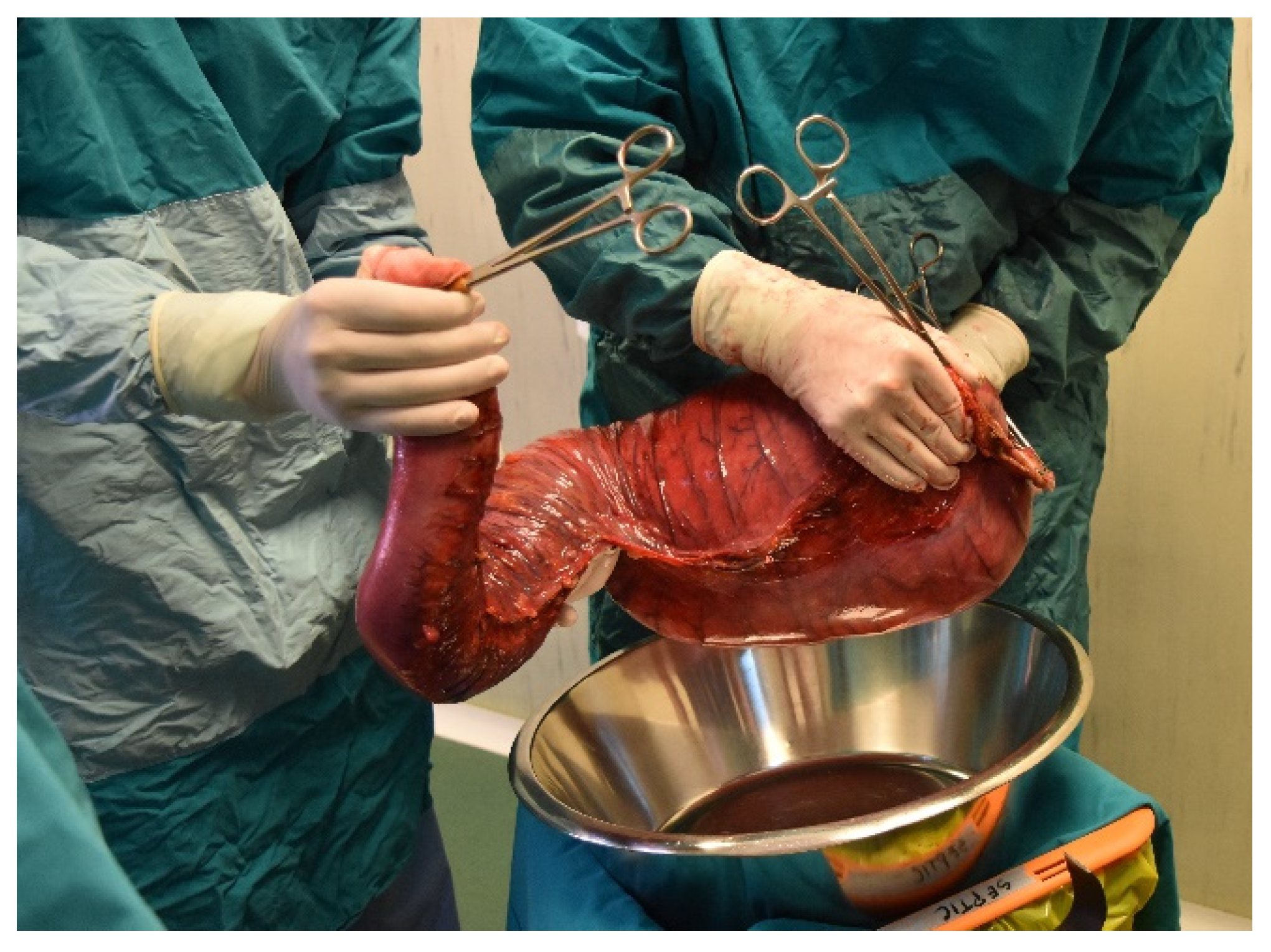 Diagnostics 11 02112 g011