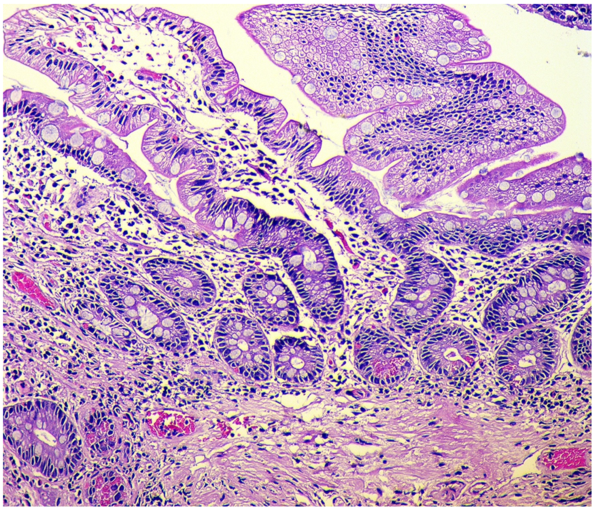 Diagnostics 11 02113 g003 Diagnostics 11 02113 g003