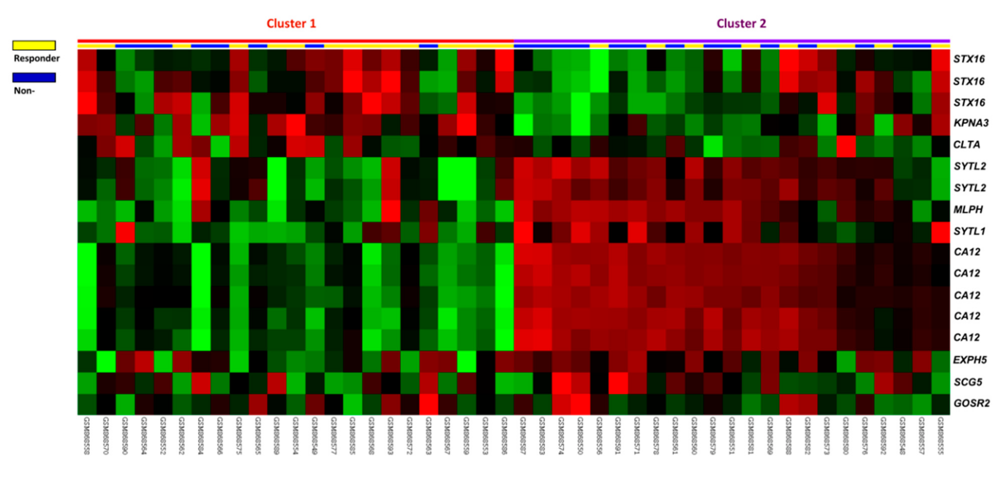 Diagnostics 11 02132 g001 Diagnostics 11 02132 g001
