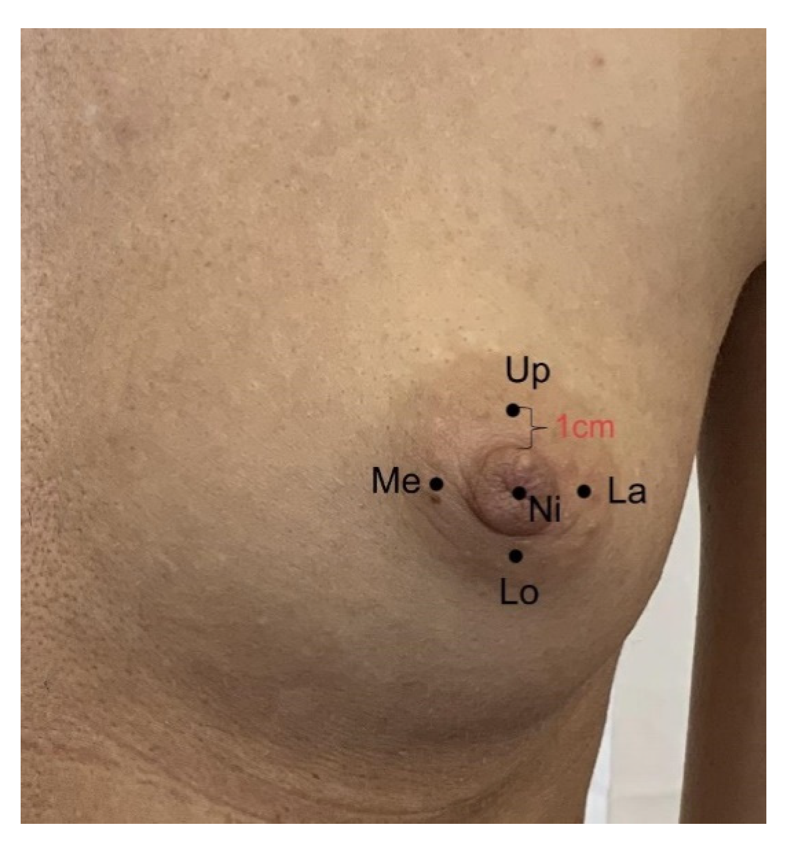 Diagnostics 11 02145 g001