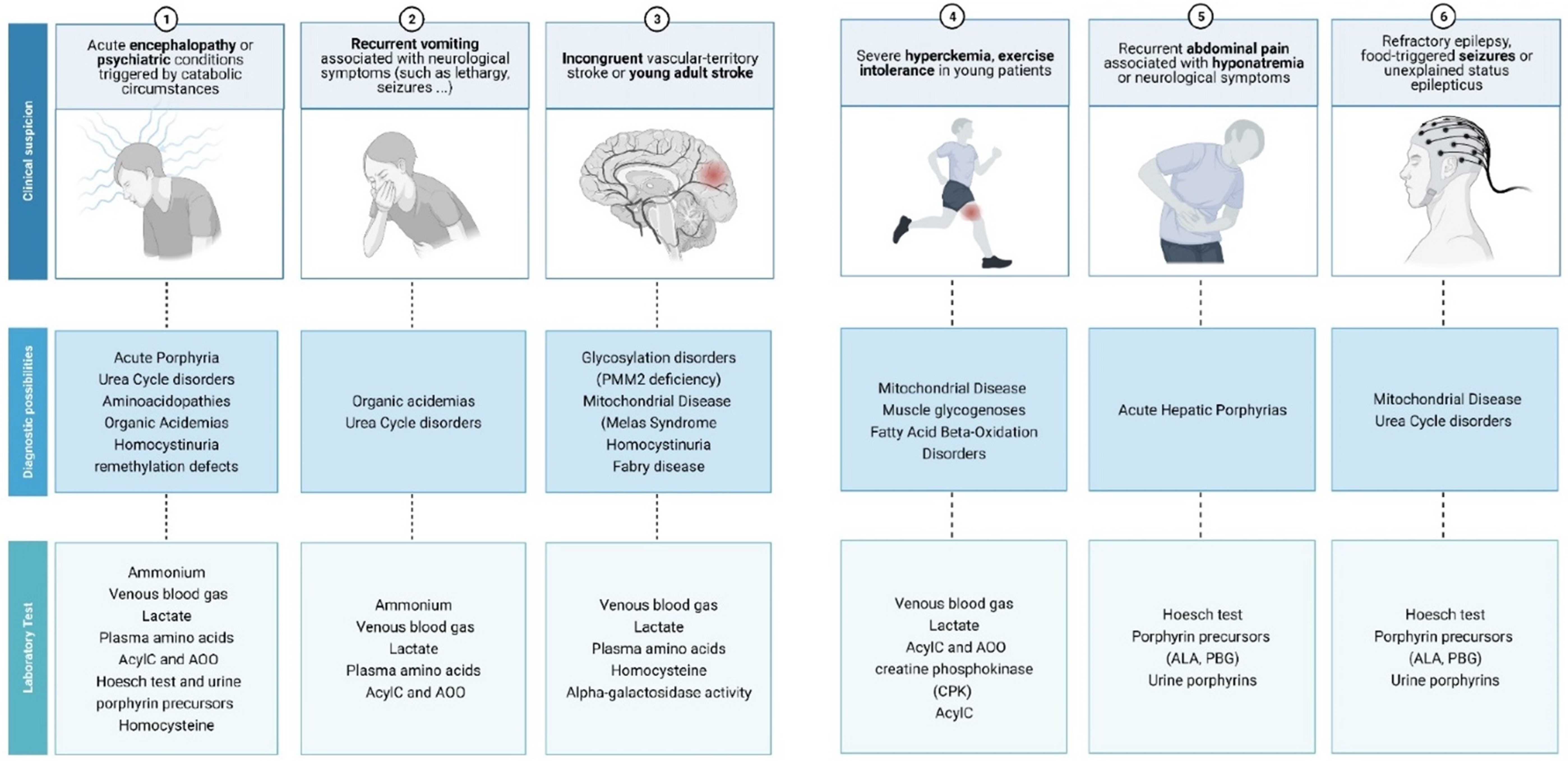 Diagnostics 11 02148 g001 Diagnostics 11 02148 g001