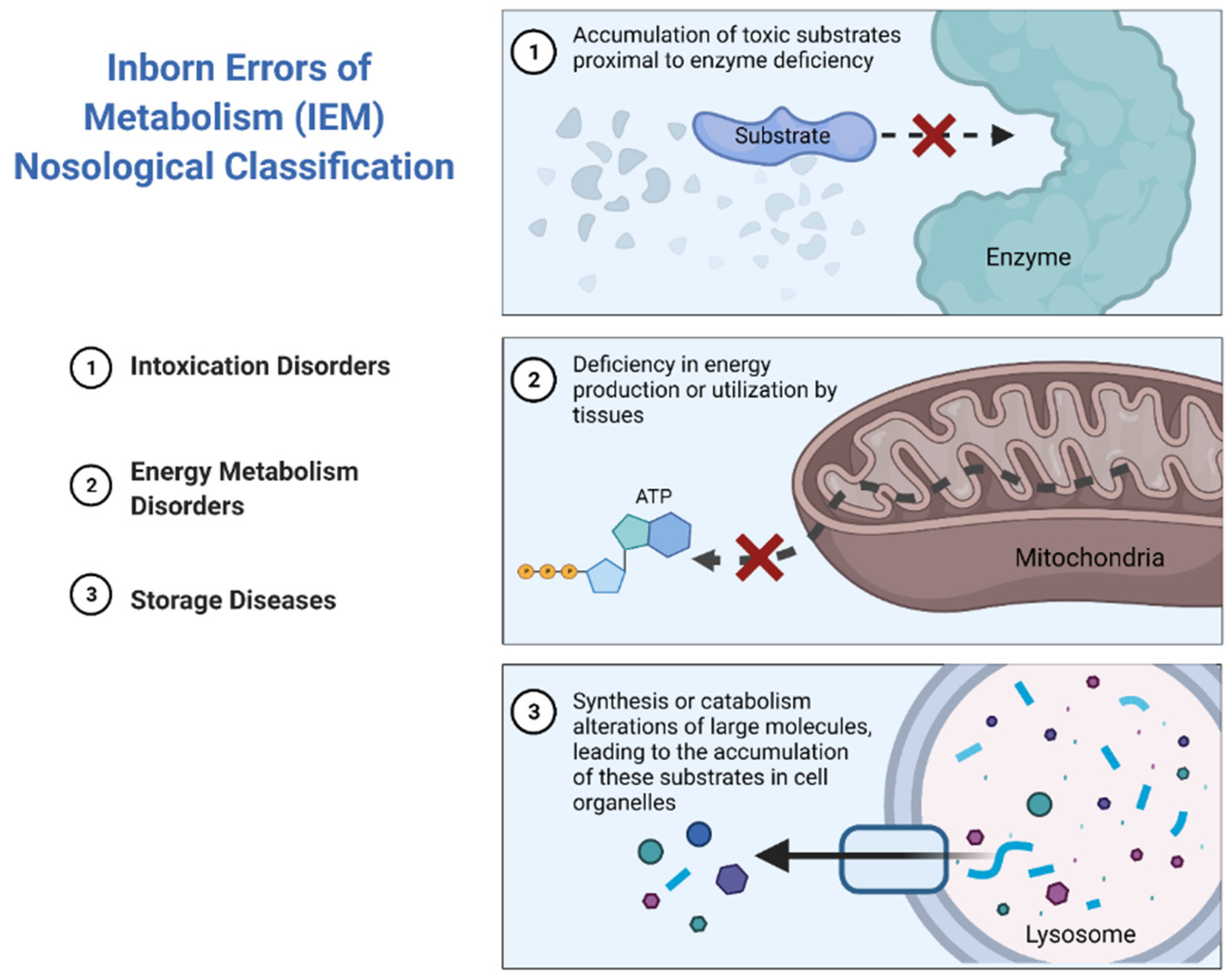 Diagnostics 11 02148 g002 Diagnostics 11 02148 g002