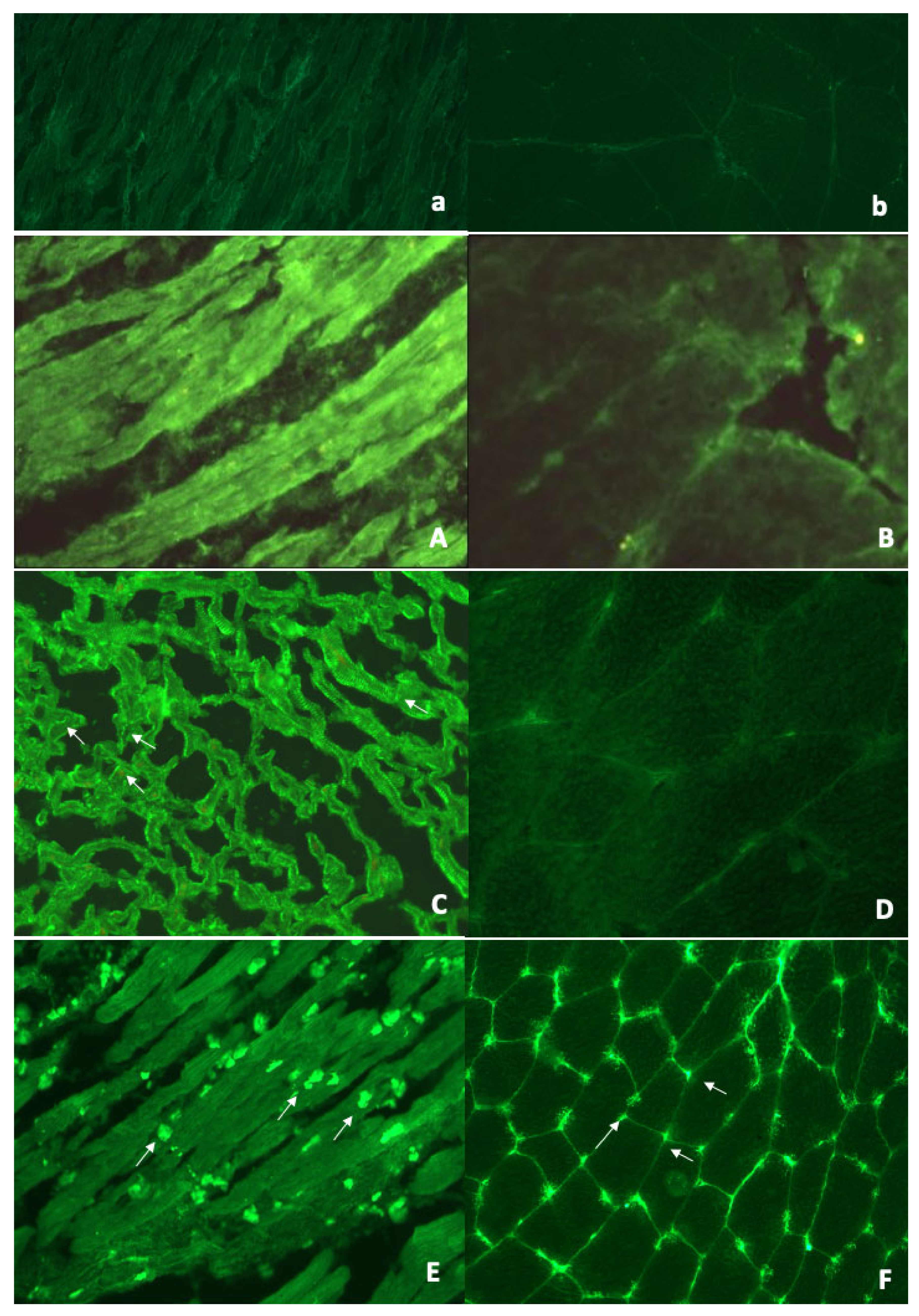 Diagnostics 11 02165 g001