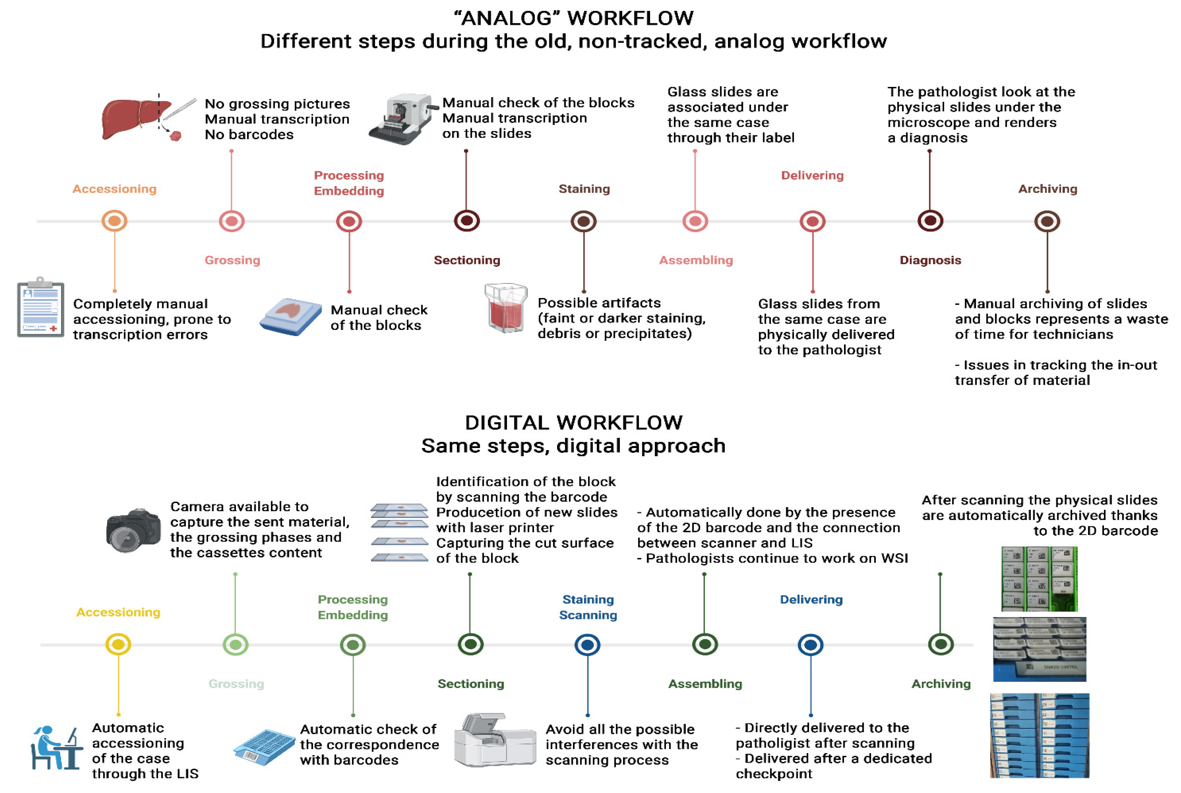 Diagnostics 11 02167 g001