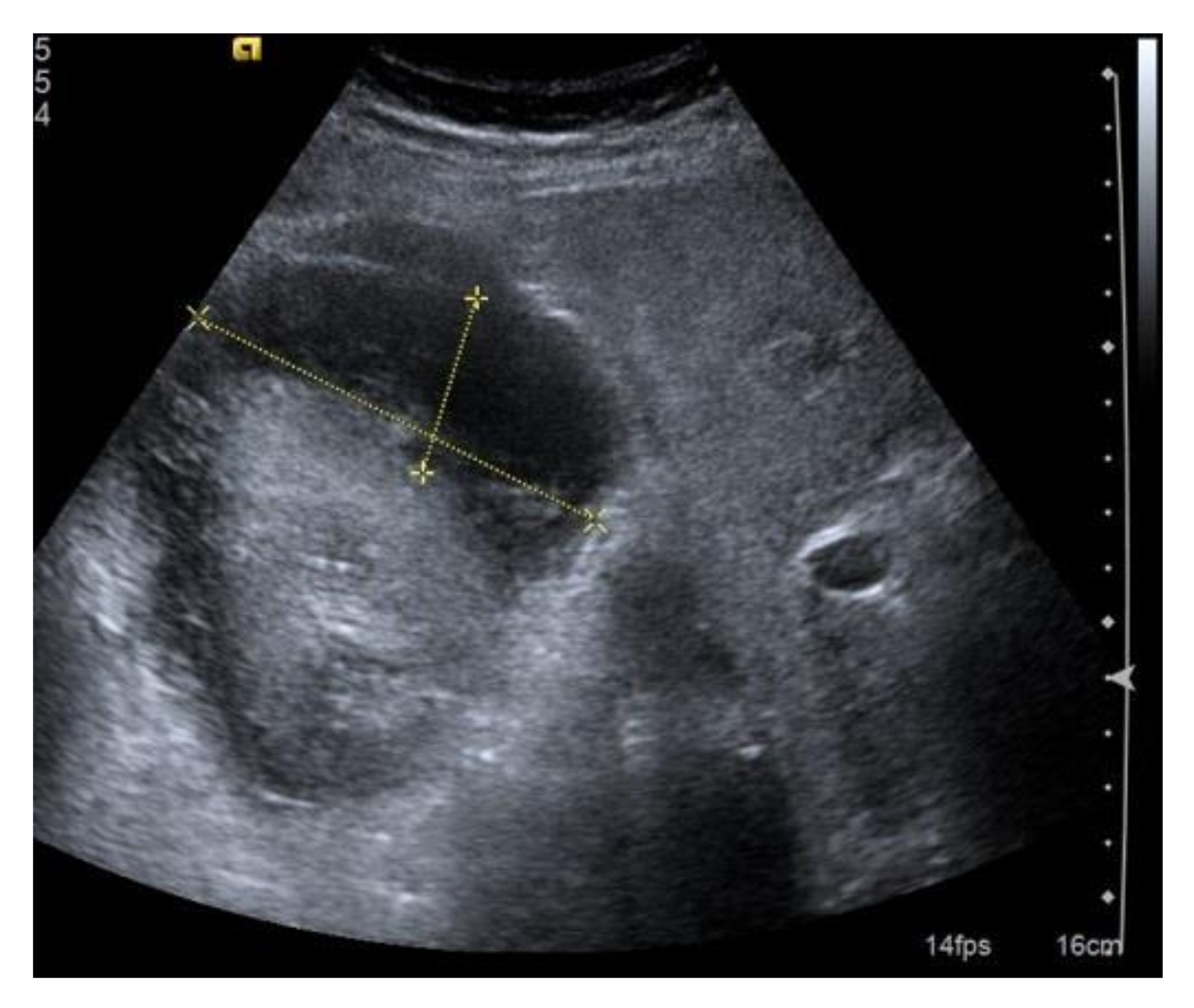 Diagnostics 11 02186 g007