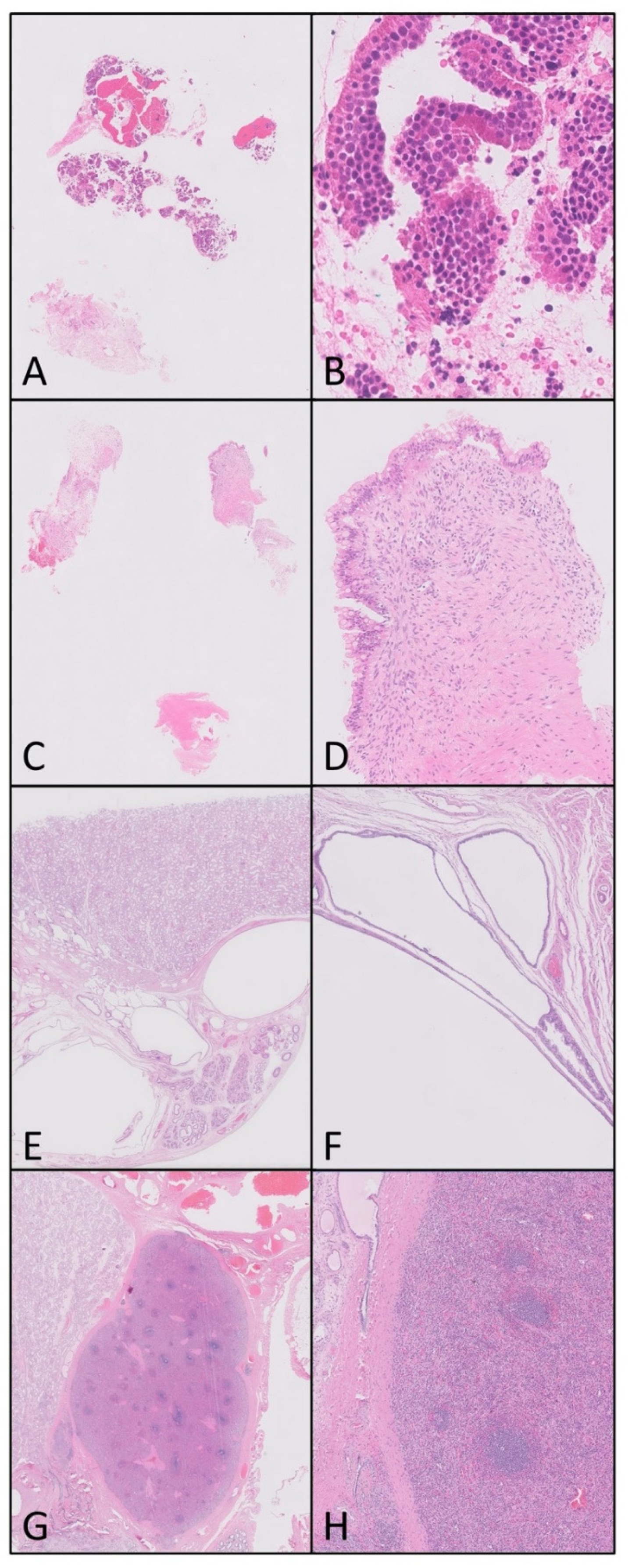 Diagnostics 11 02191 g004