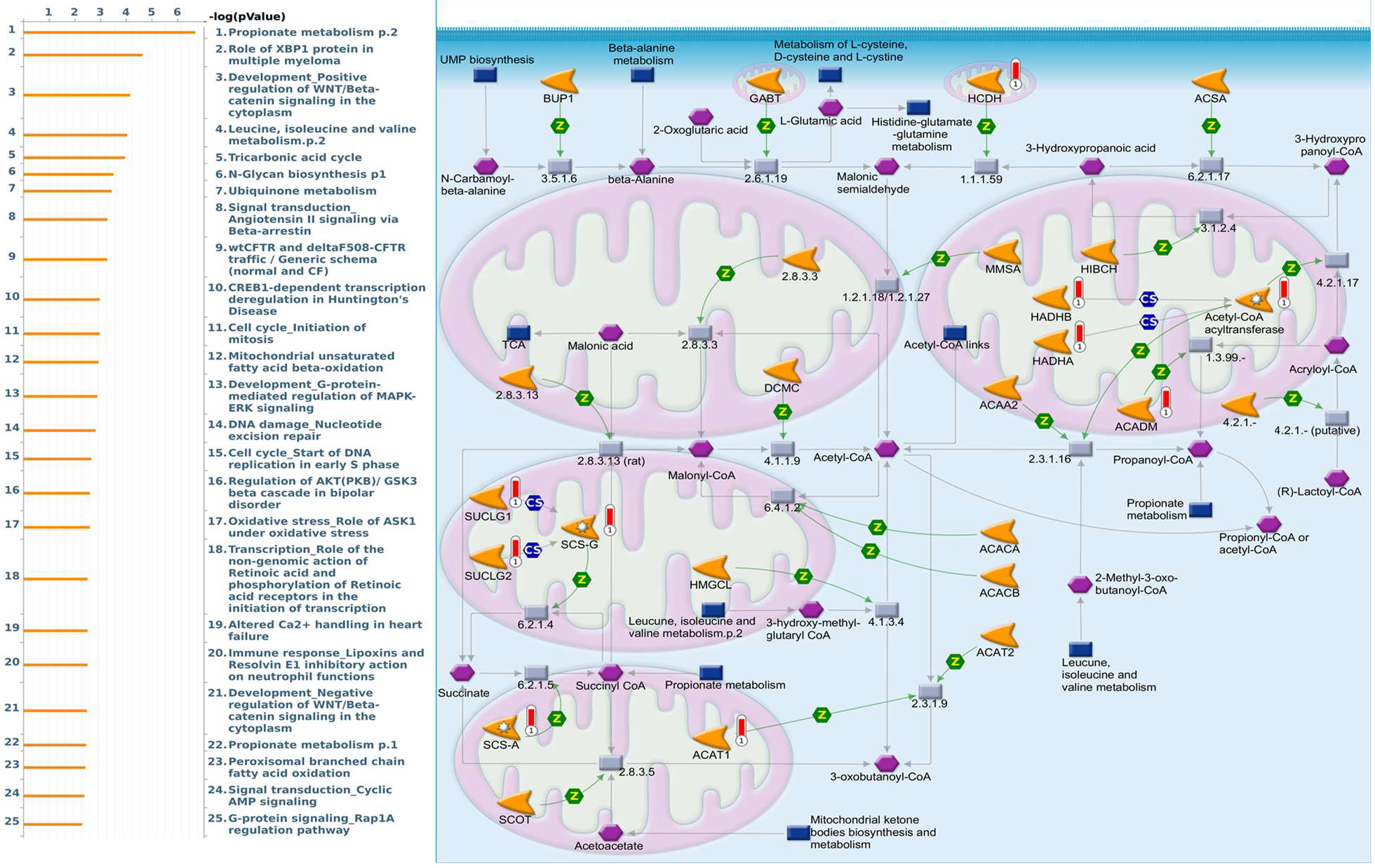 Diagnostics 11 02220 g006