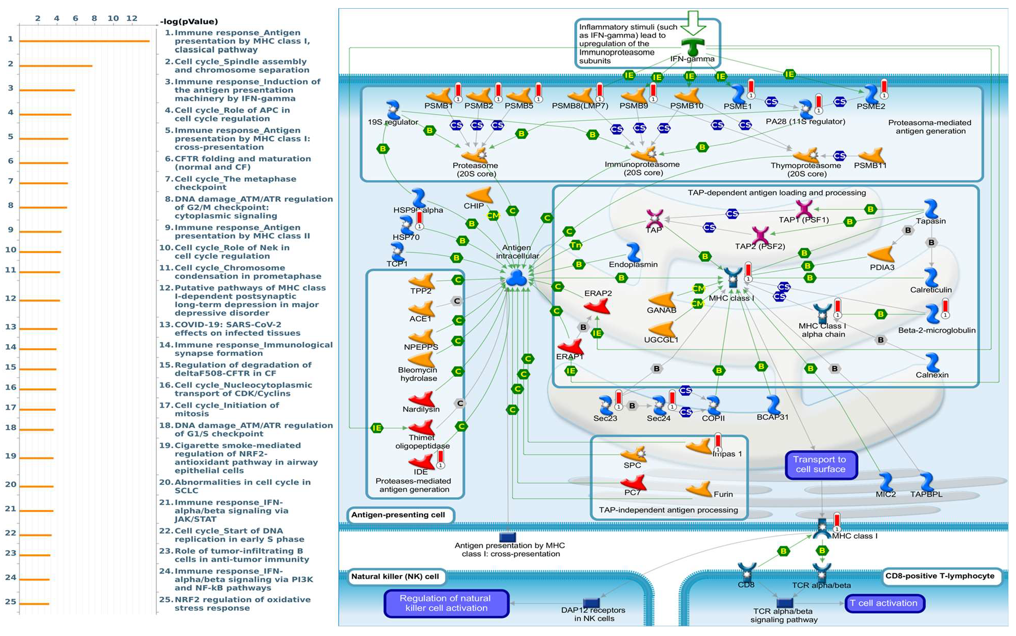 Diagnostics 11 02220 g007