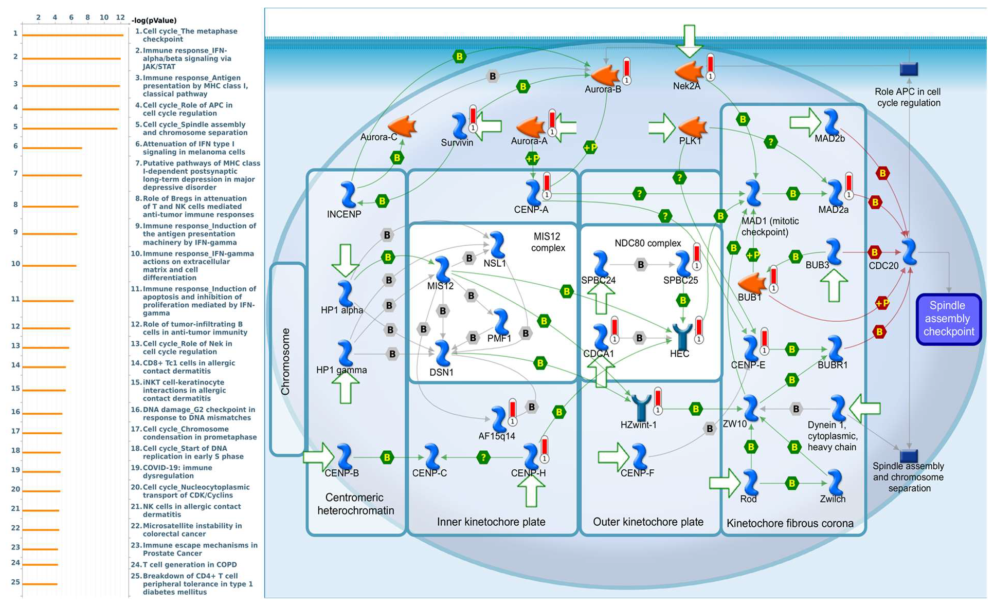 Diagnostics 11 02220 g009