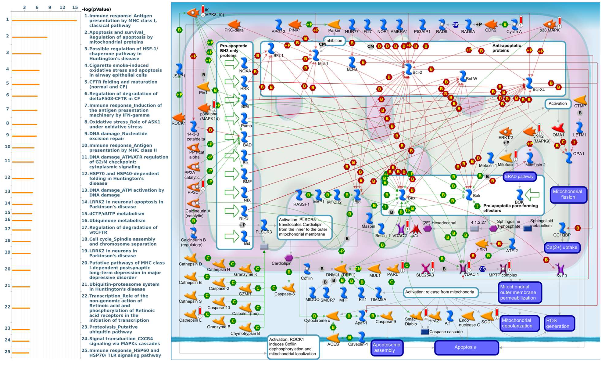 Diagnostics 11 02220 g010
