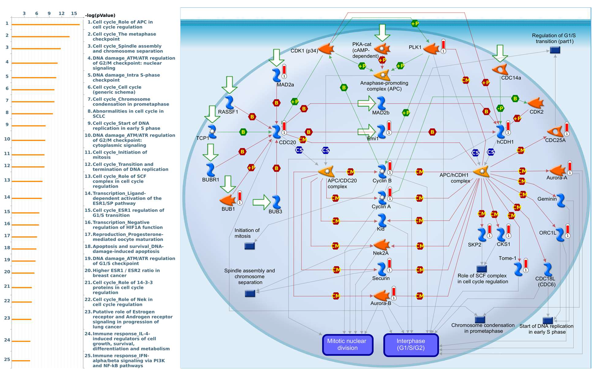 Diagnostics 11 02220 g011
