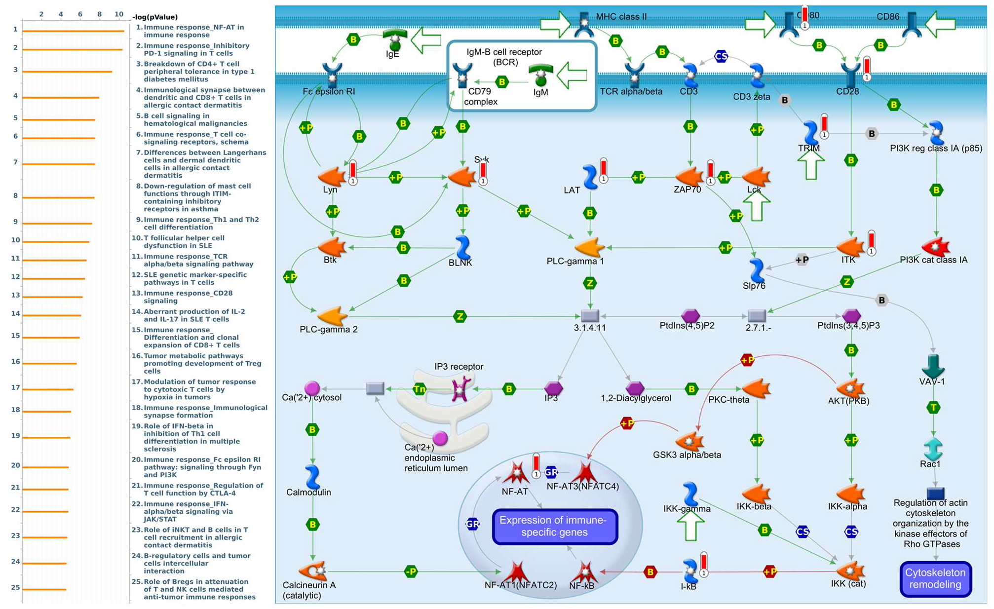 Diagnostics 11 02220 g012