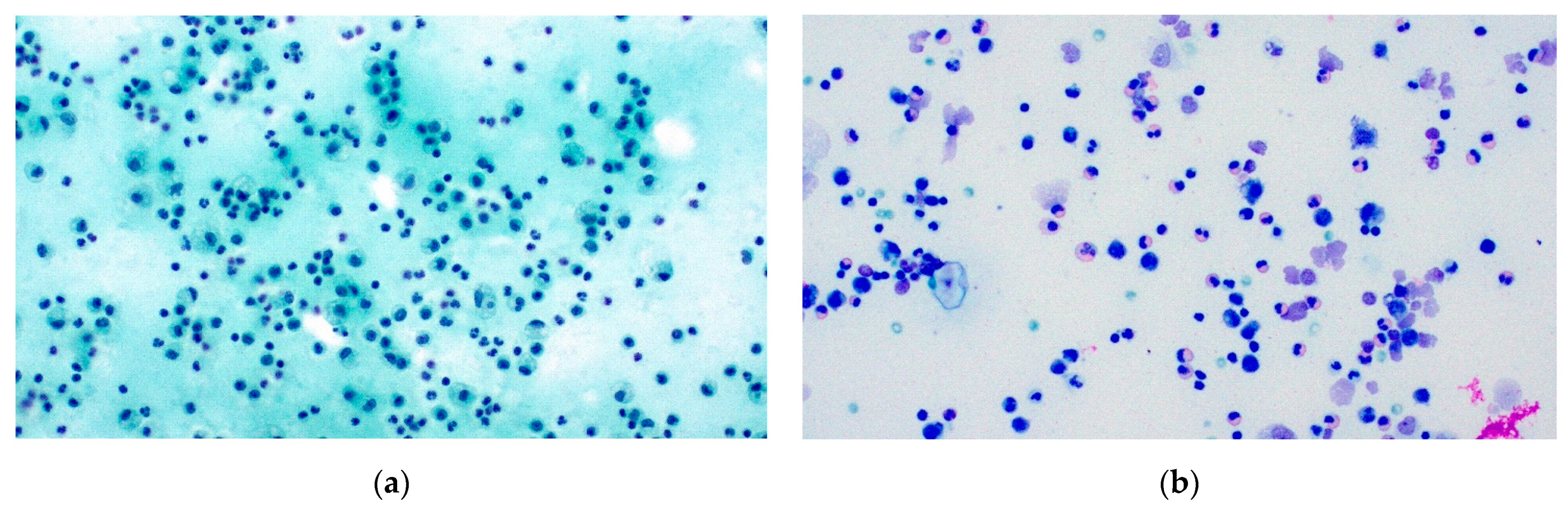 Diagnostics 11 02223 g001