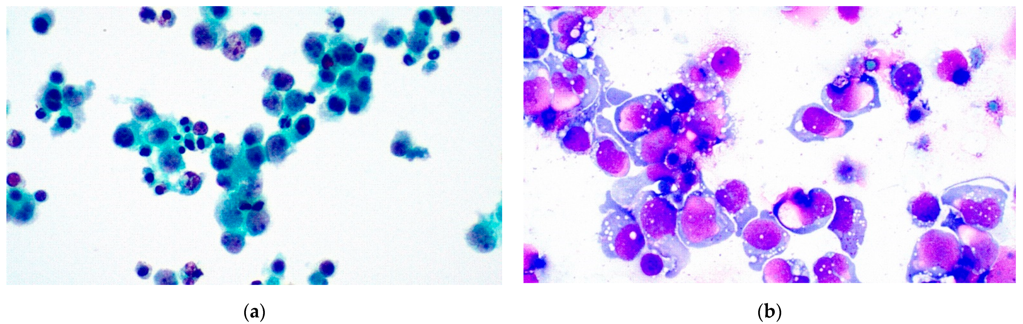 Diagnostics 11 02223 g002