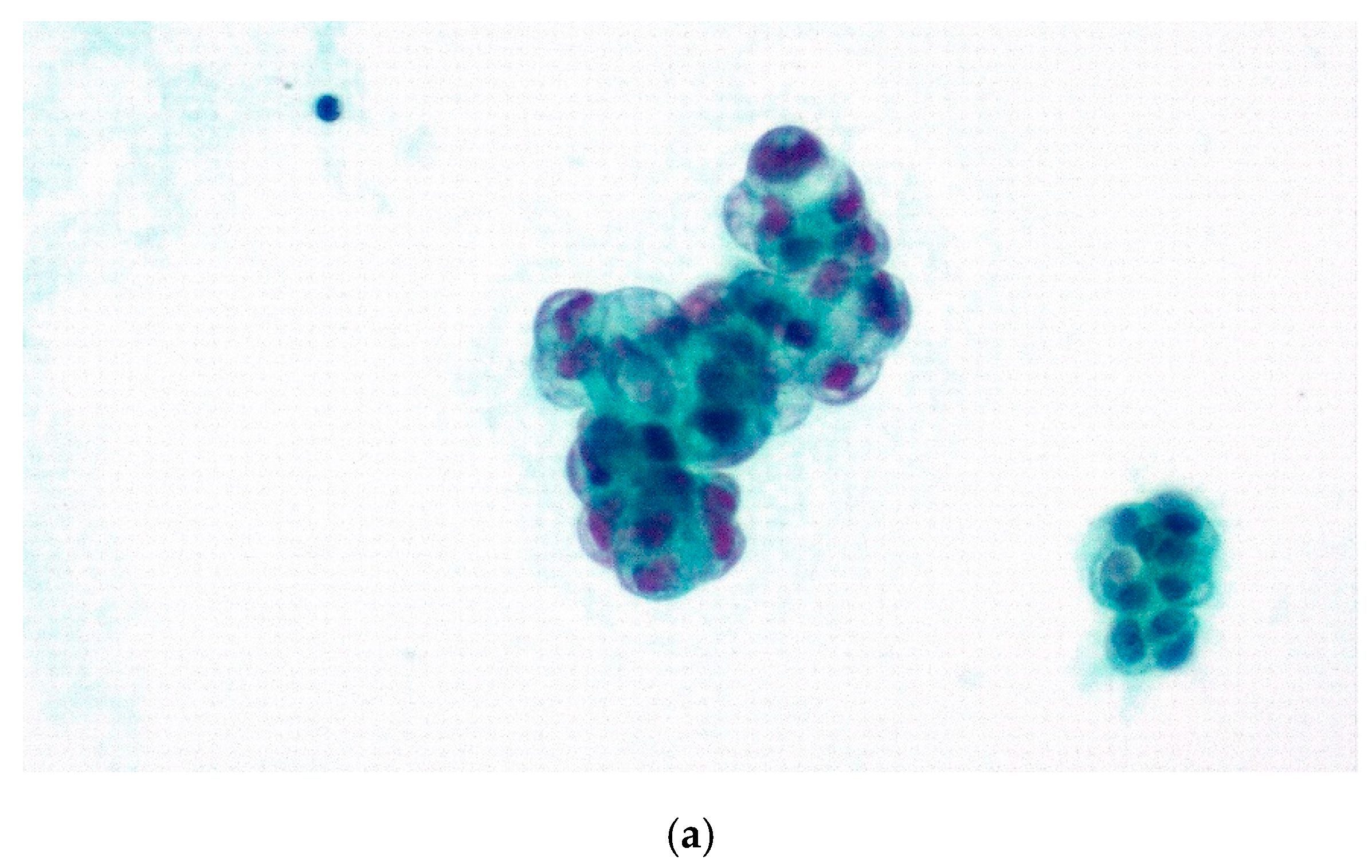 Diagnostics 11 02223 g003a