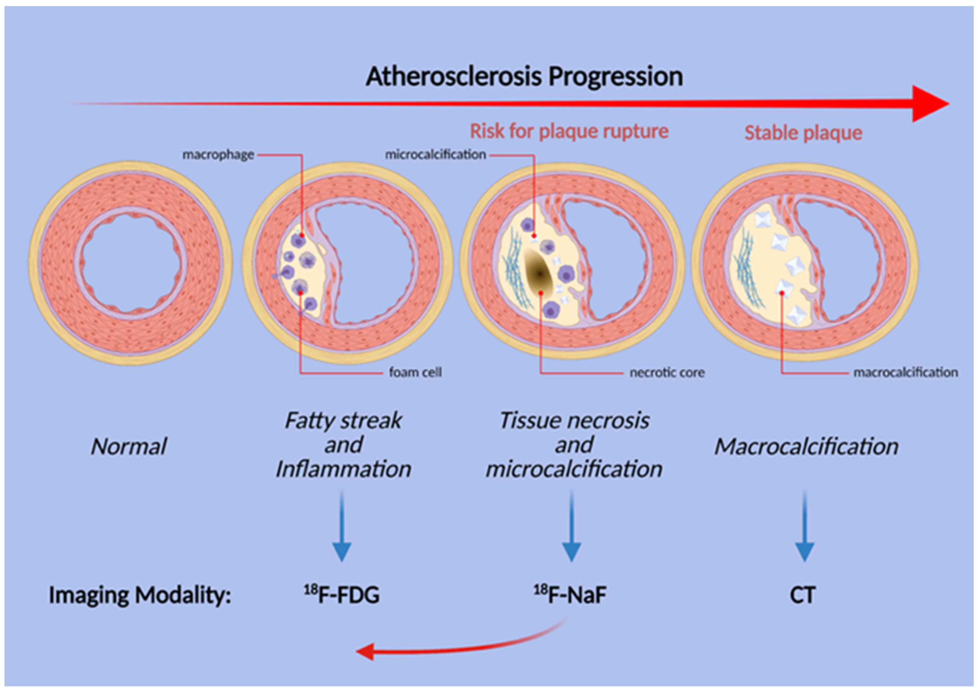 Diagnostics 11 02234 g003