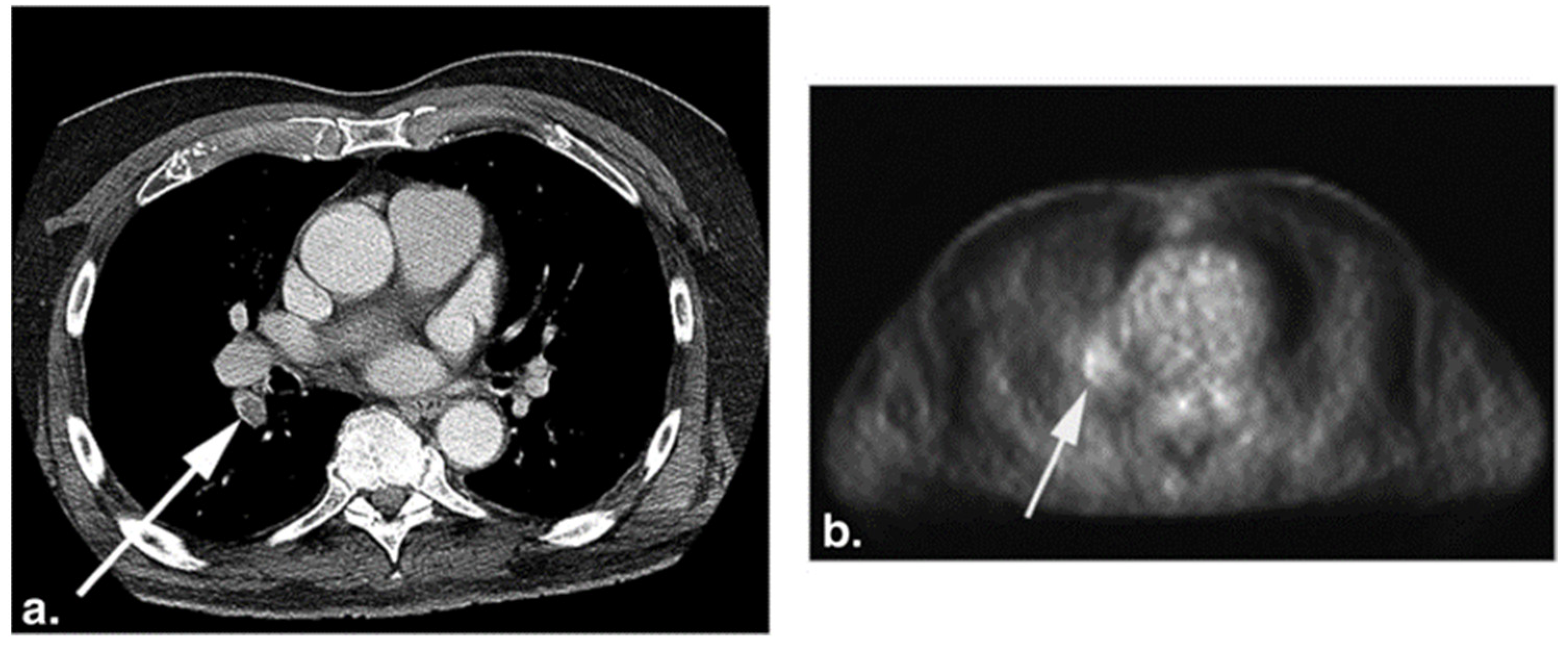 Diagnostics 11 02234 g004