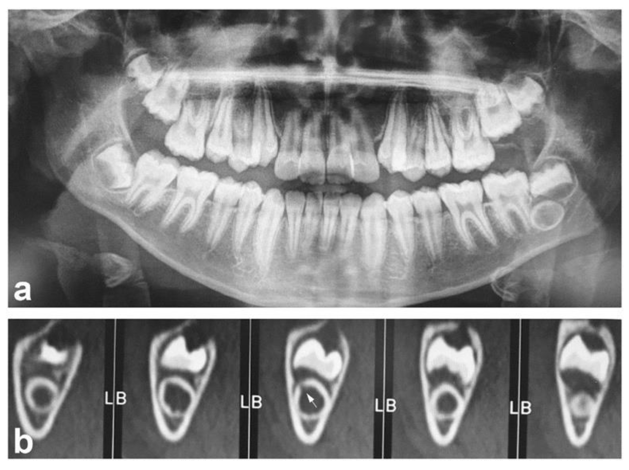 Diagnostics 11 02256 g001