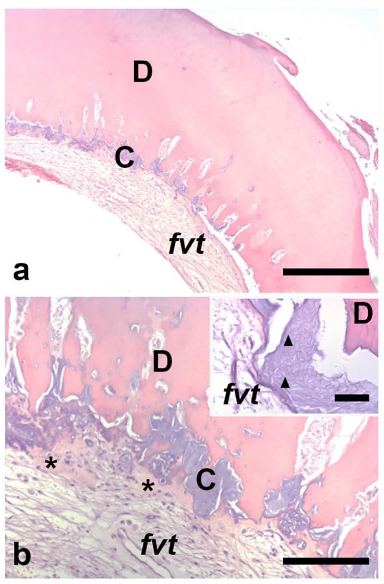 Diagnostics 11 02256 g003