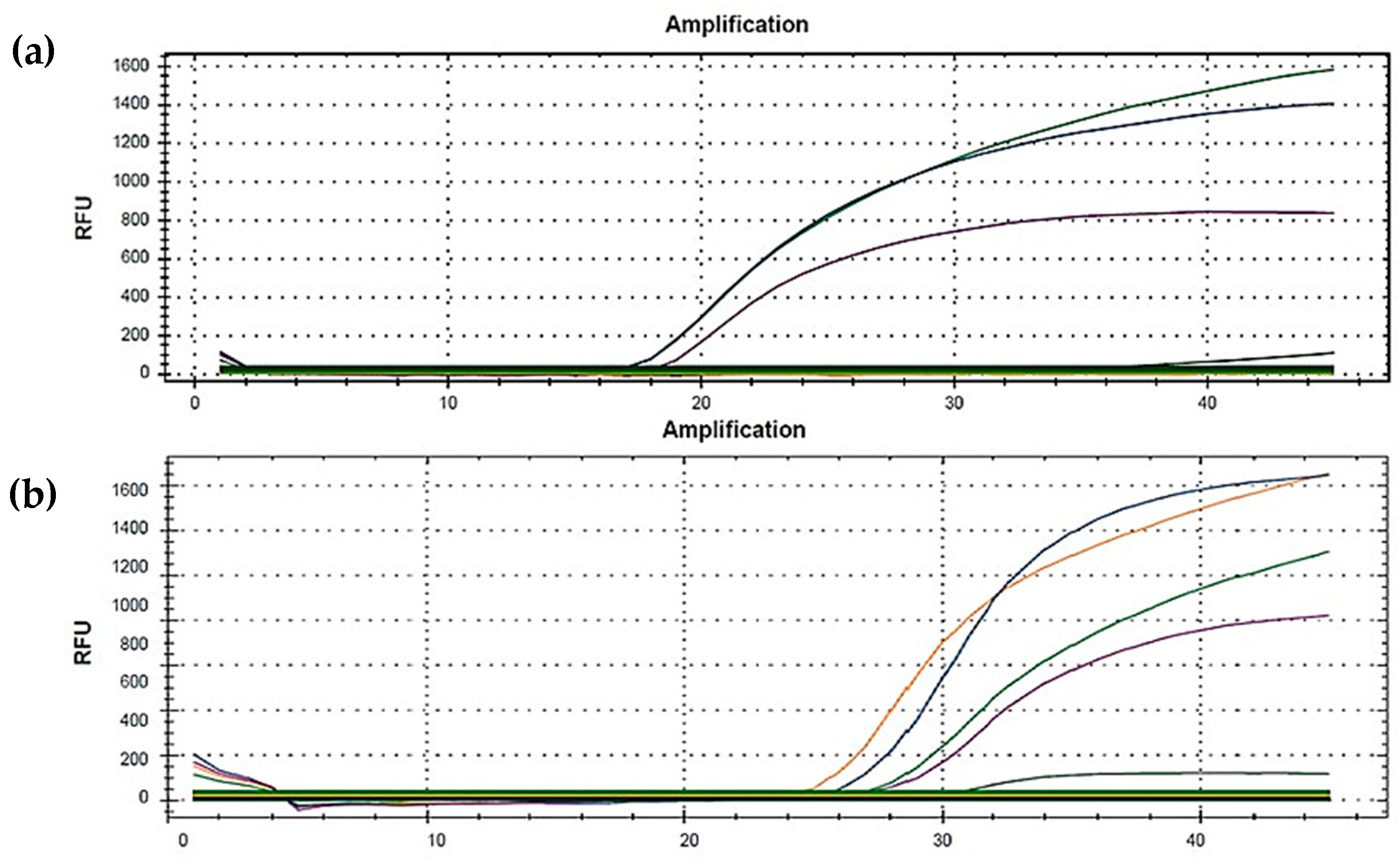 Diagnostics 11 02286 g001
