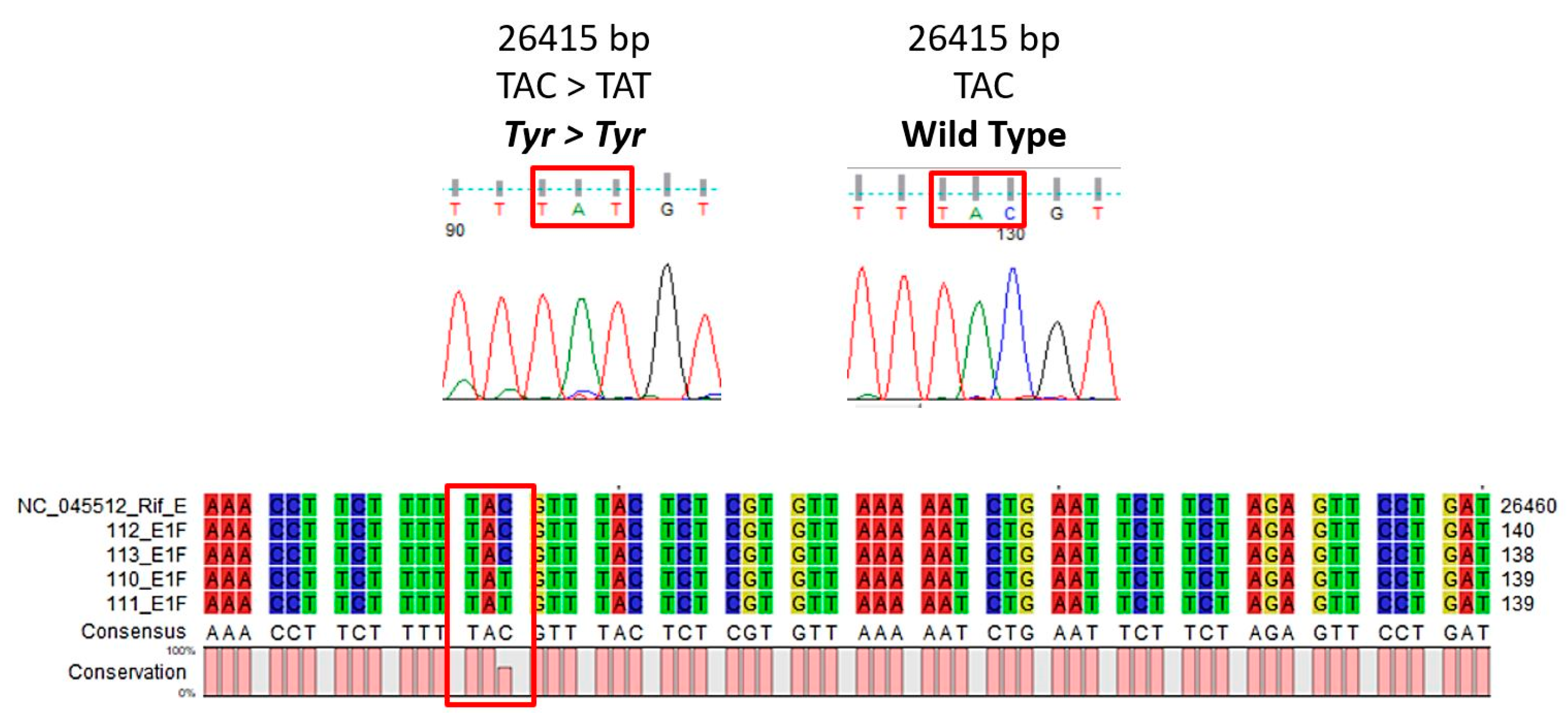 Diagnostics 11 02286 g002