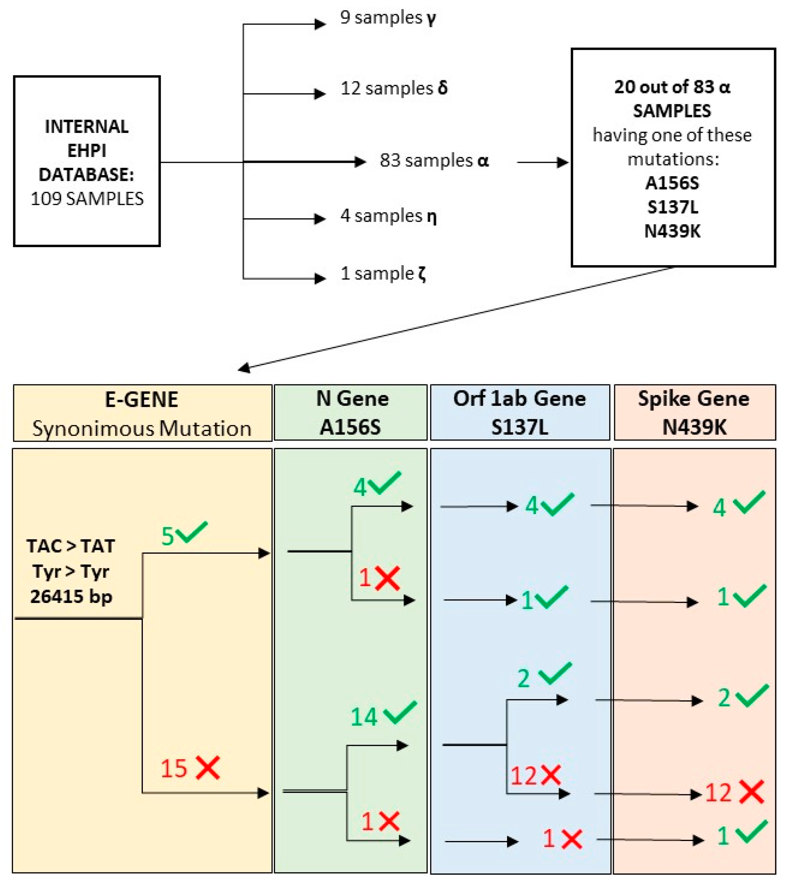 Diagnostics 11 02286 g003