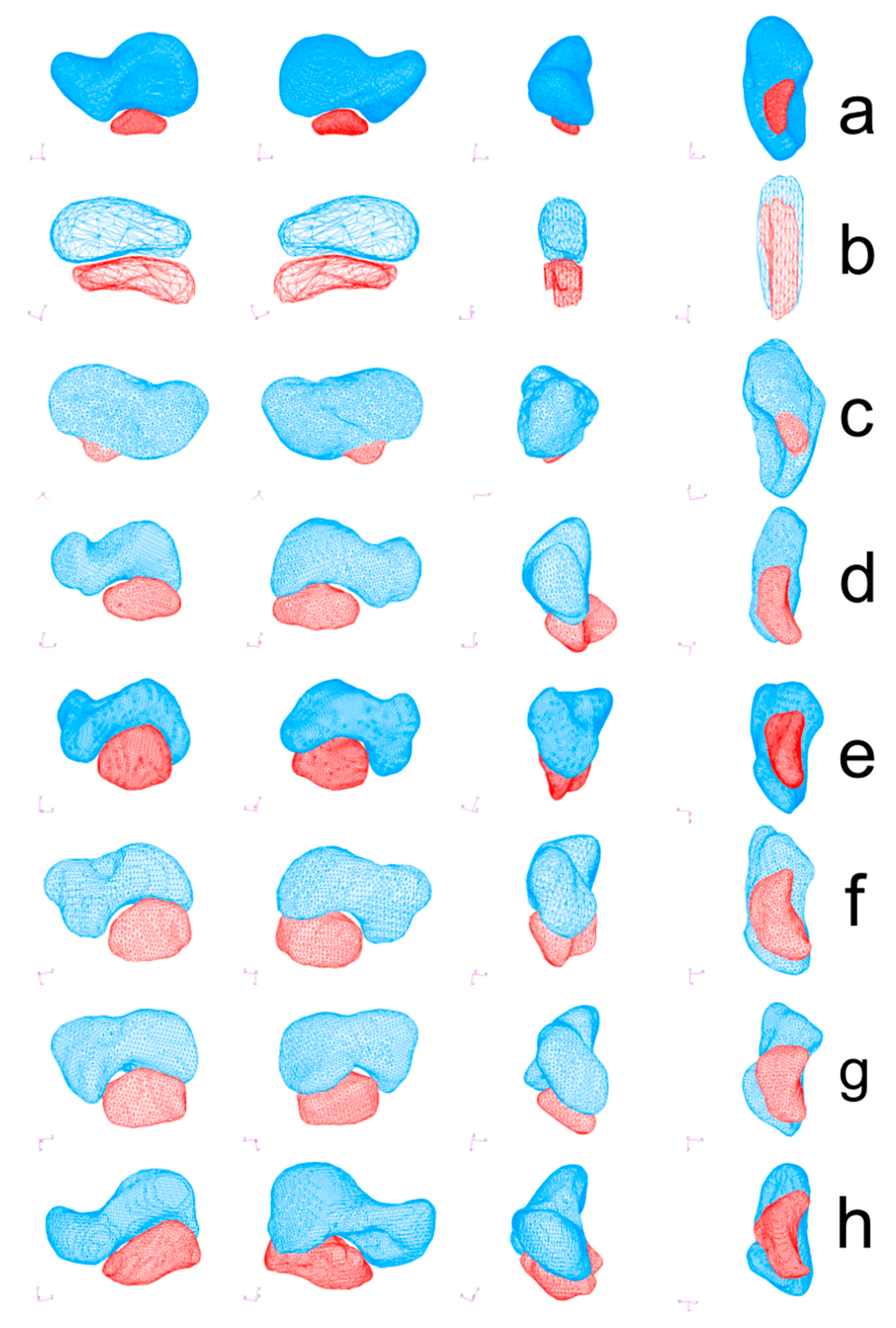 Diagnostics 11 02295 g002