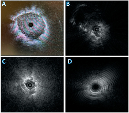 Diagnostics 11 02304 g001