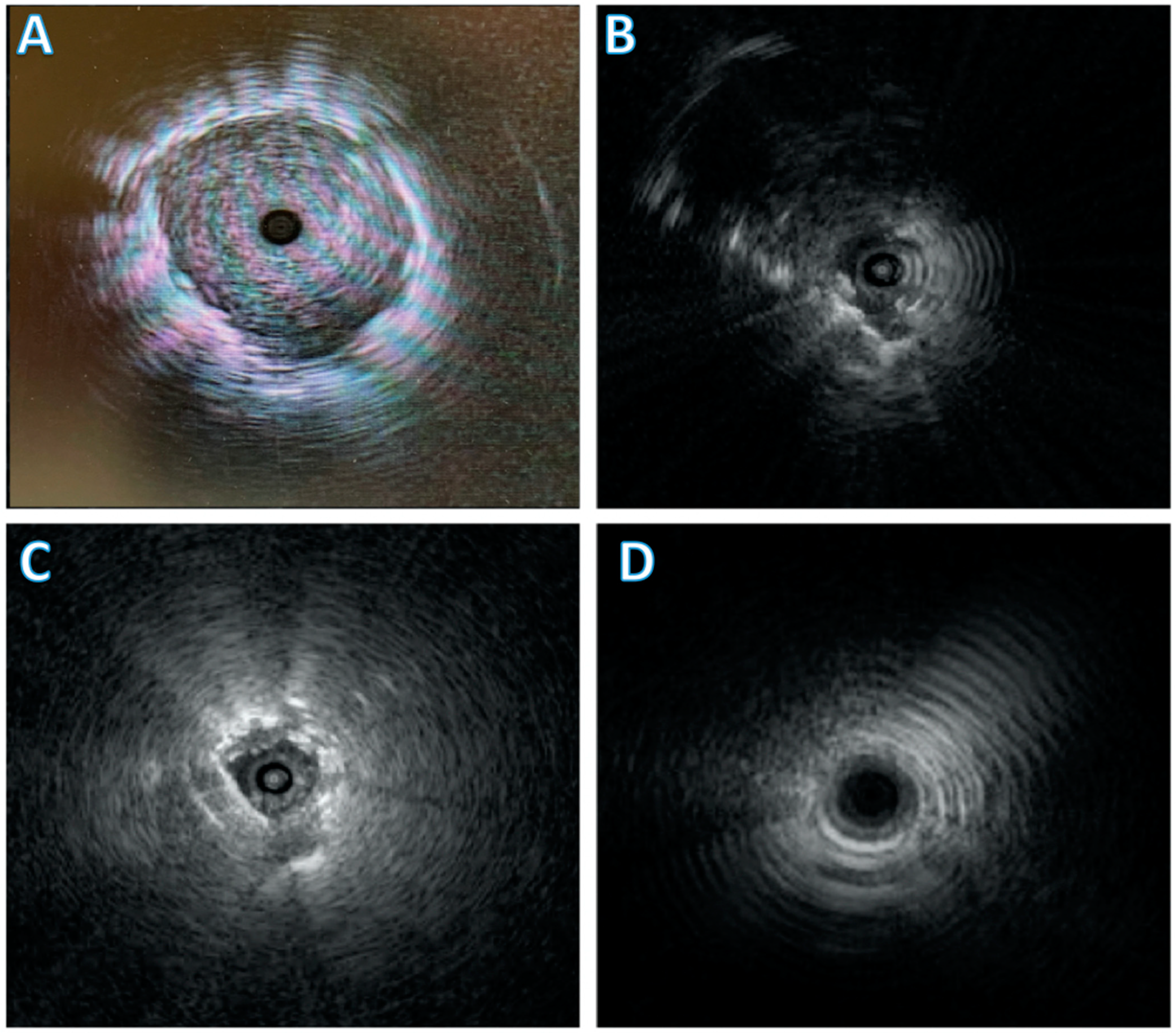 Diagnostics 11 02304 g001 Diagnostics 11 02304 g001