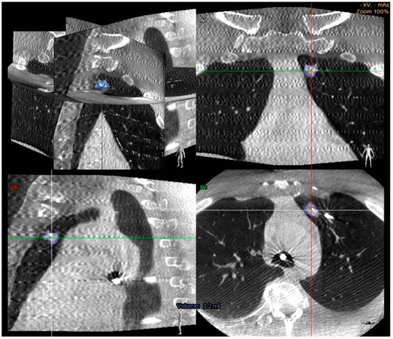 Diagnostics 11 02304 g002