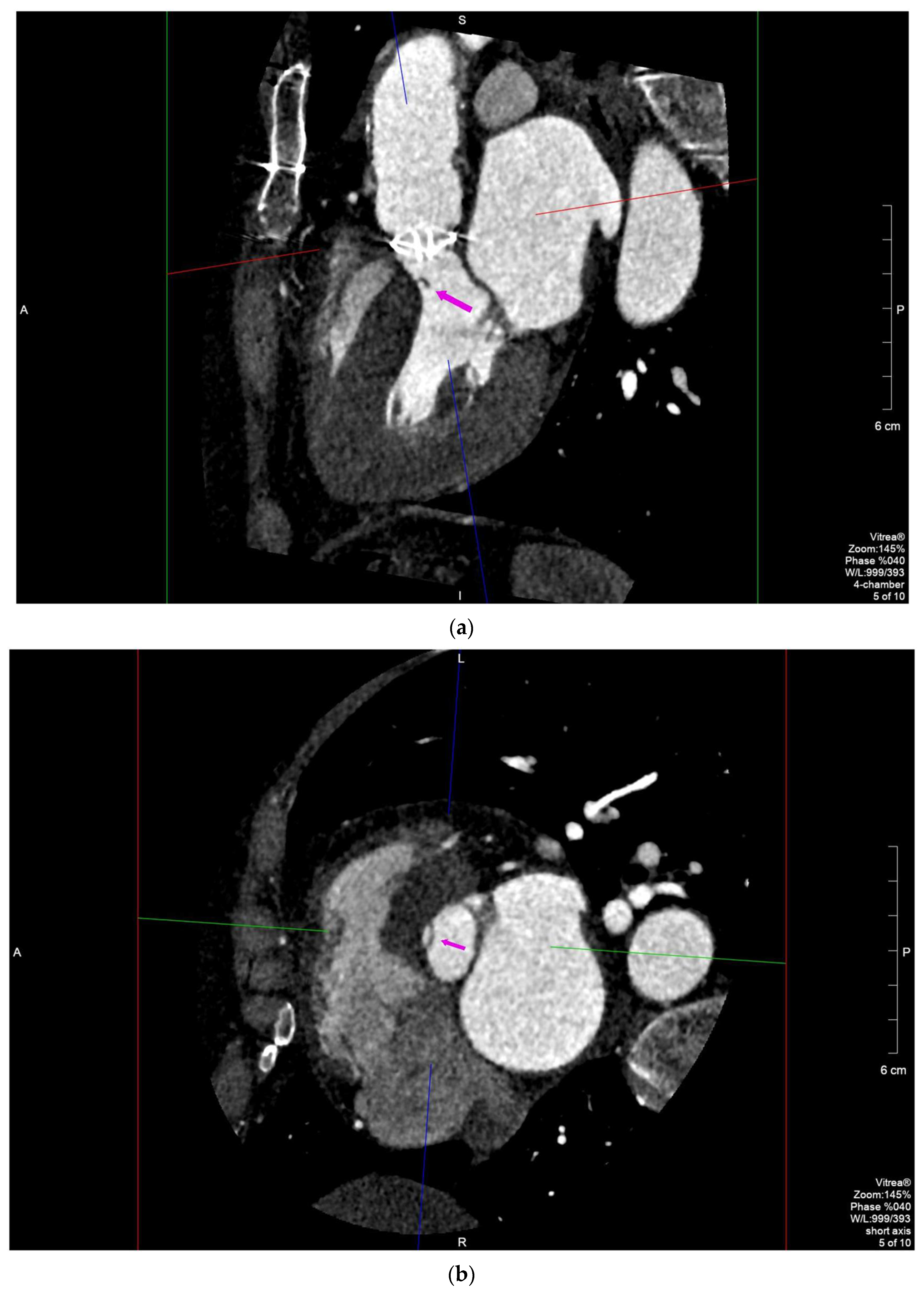Diagnostics 11 02305 g002