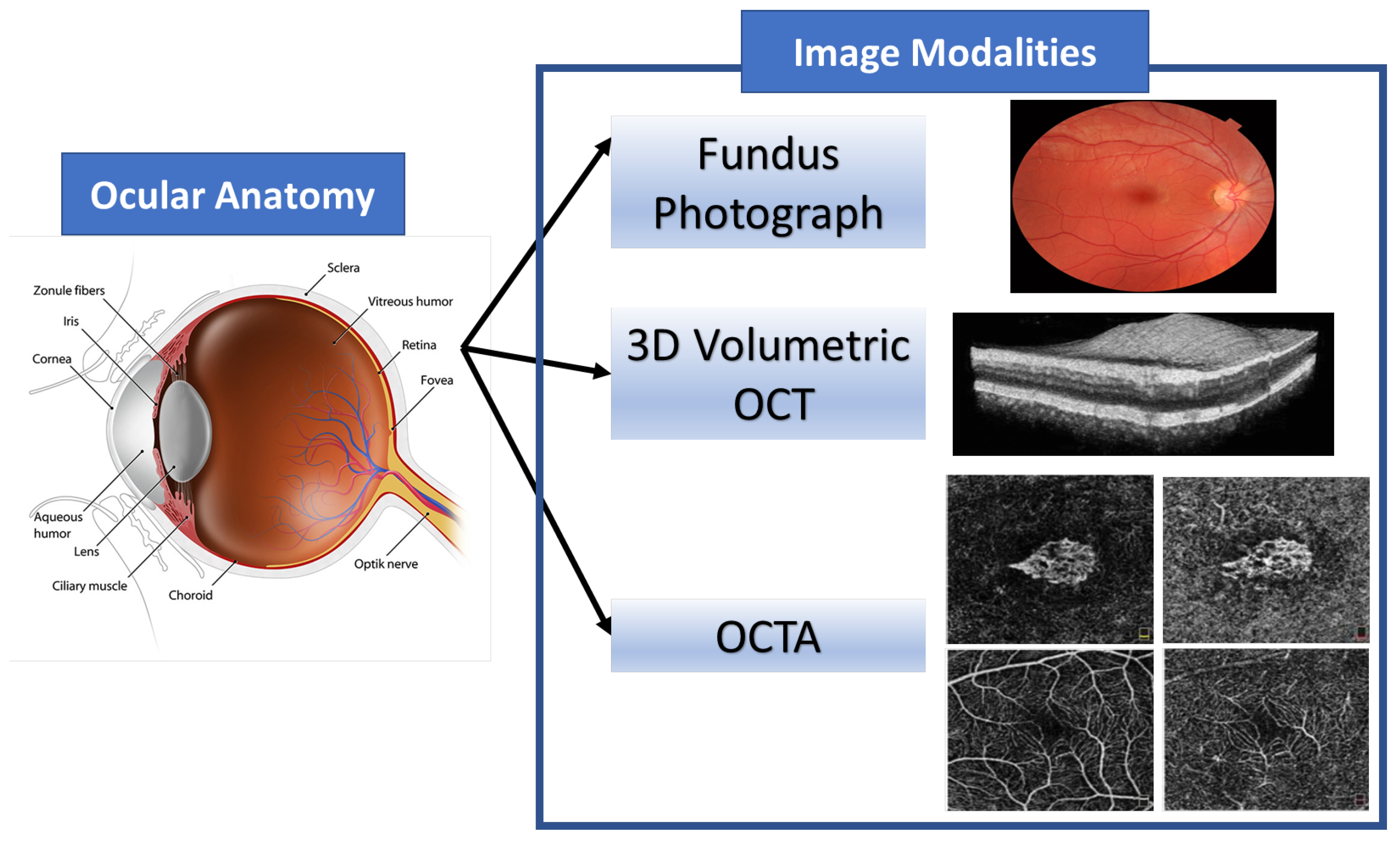 Diagnostics 11 02313 g002 Diagnostics 11 02313 g002