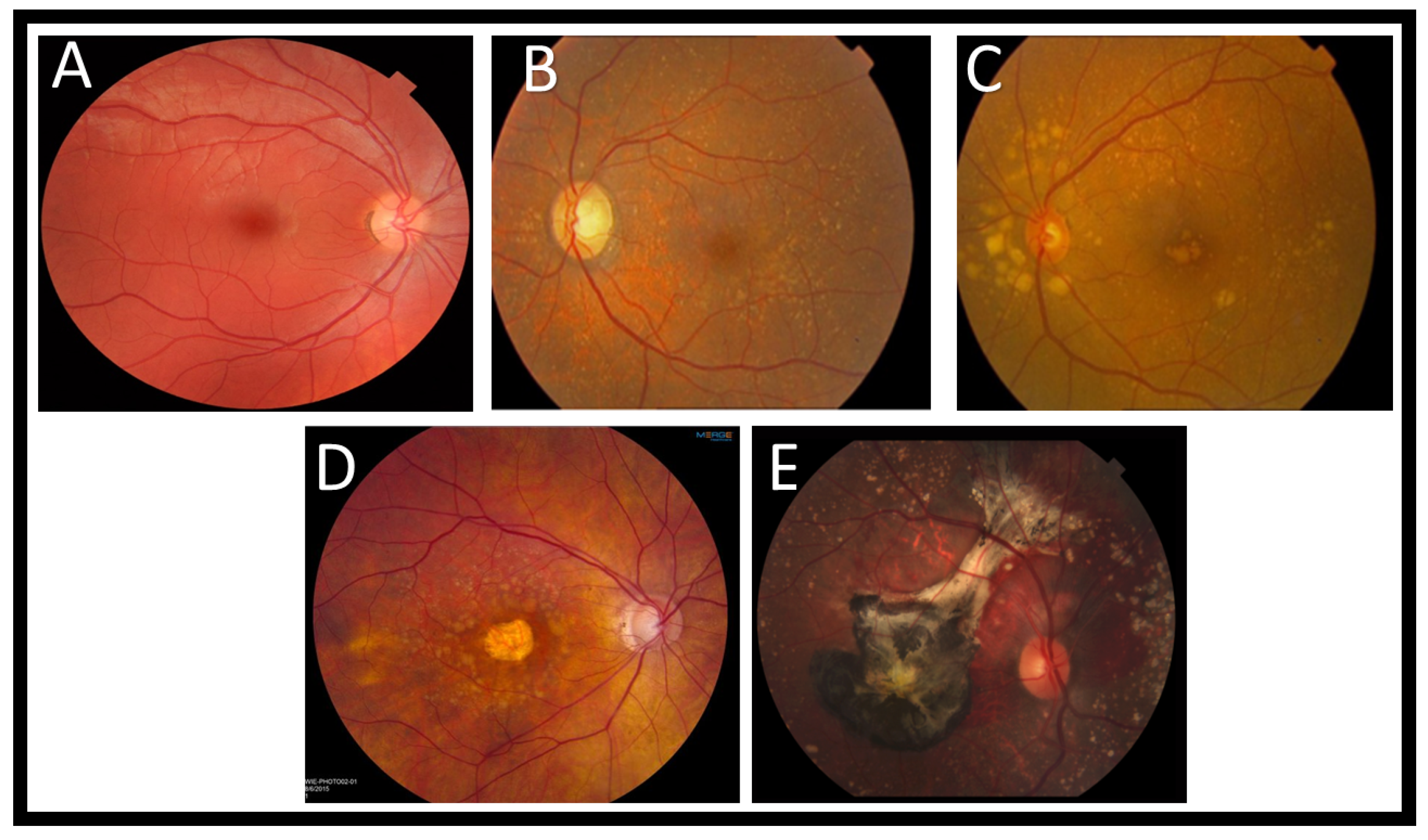 Diagnostics 11 02313 g004 Diagnostics 11 02313 g004