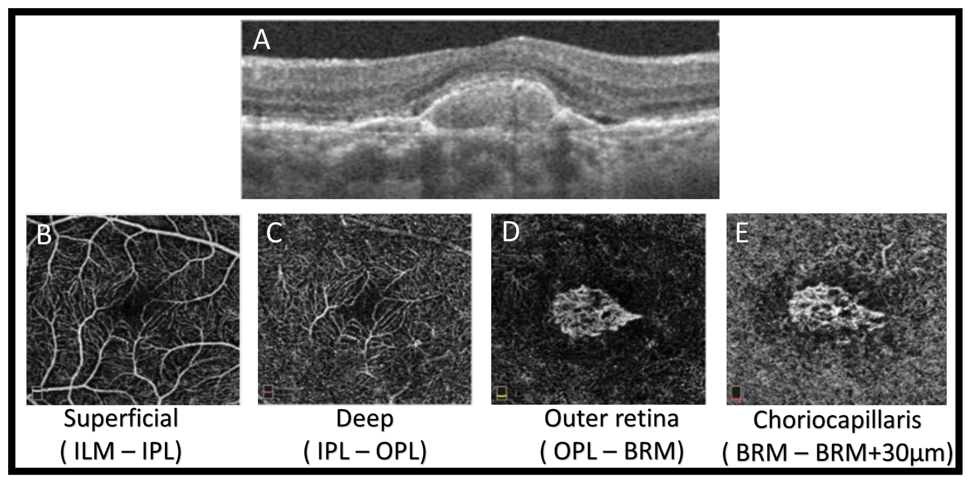 Diagnostics 11 02313 g005 Diagnostics 11 02313 g005