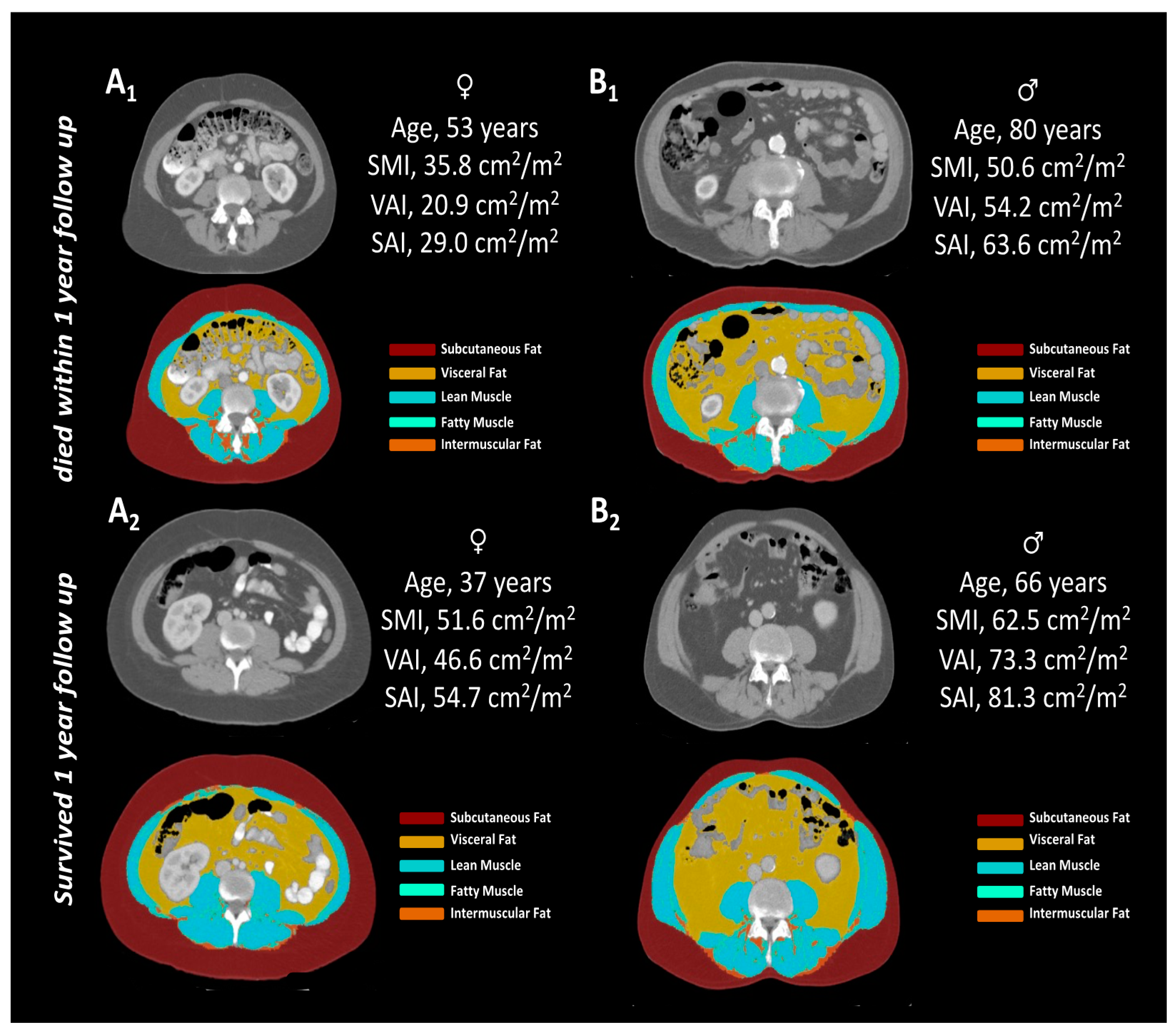 Diagnostics 11 02314 g001