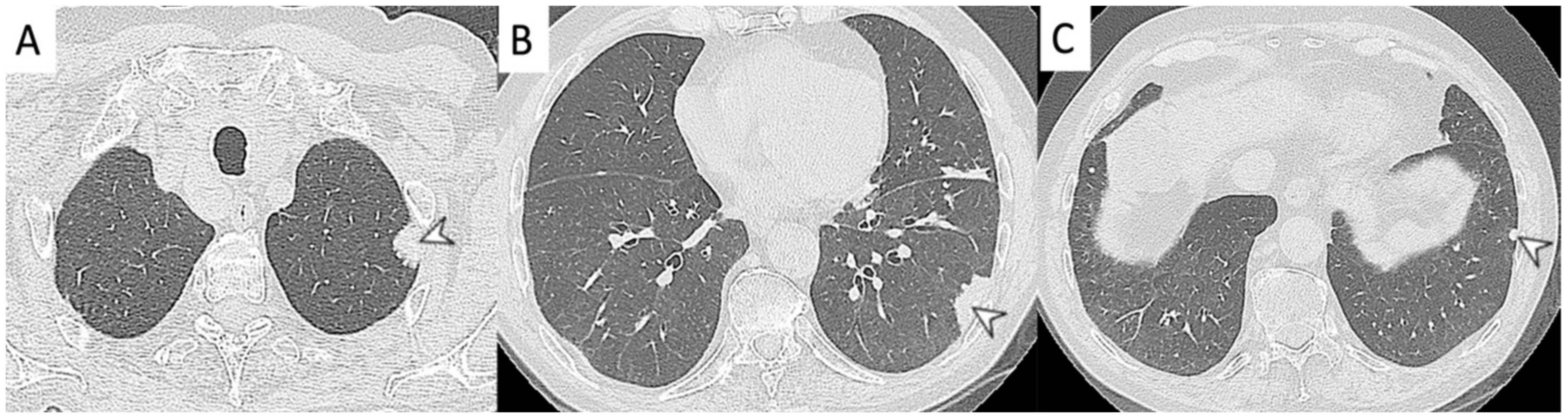 Diagnostics 11 02318 g010
