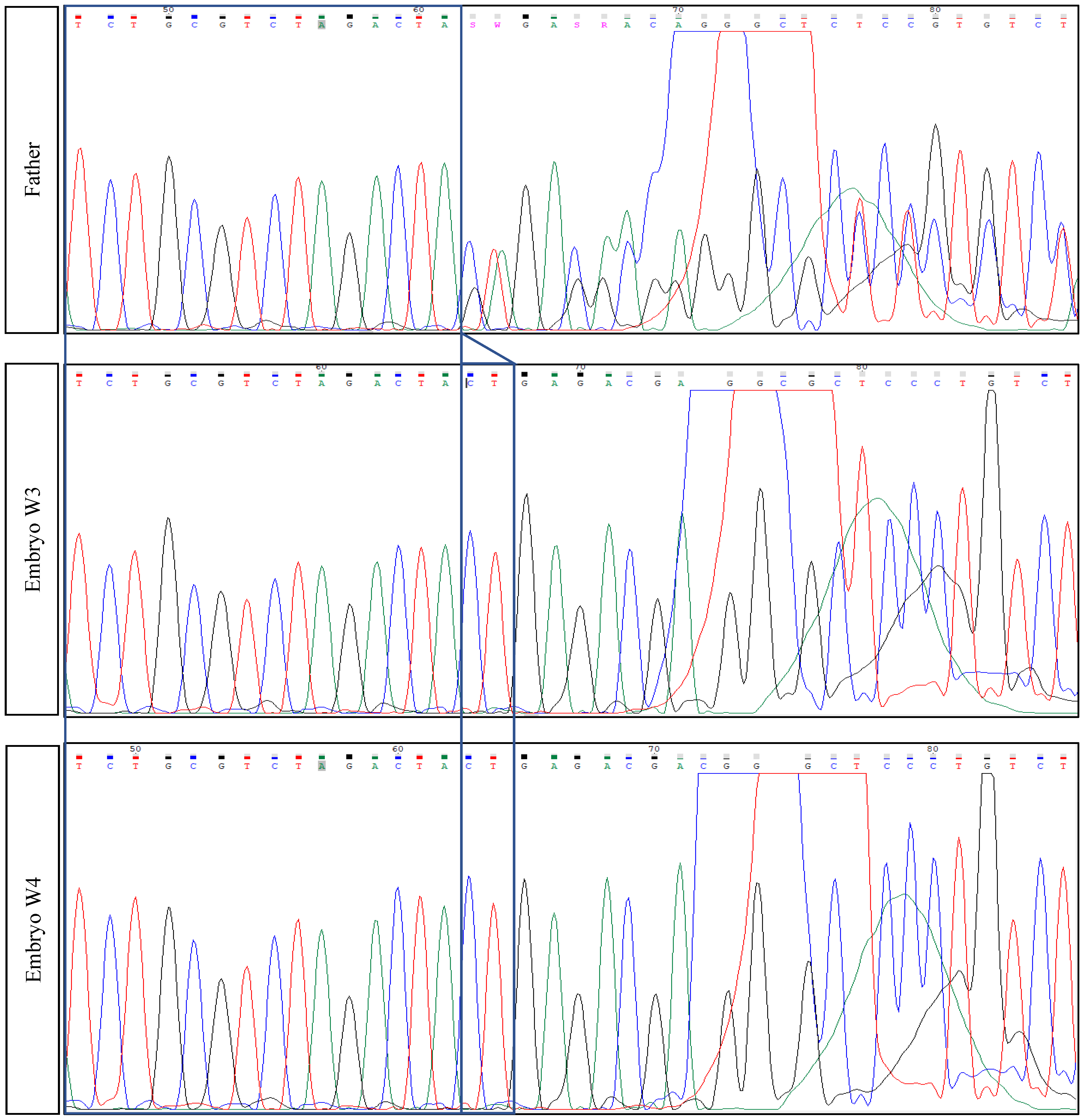 Diagnostics 11 02328 g001a