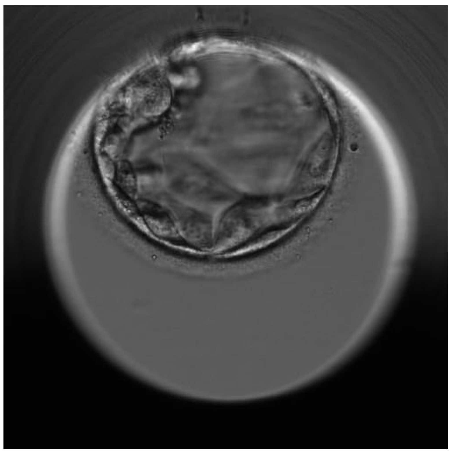 Diagnostics 11 02328 g002