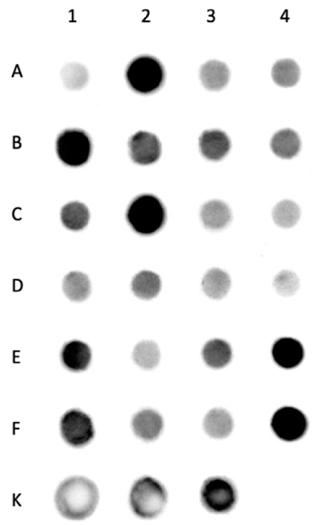 Diagnostics 11 02330 g003 Diagnostics 11 02330 g003